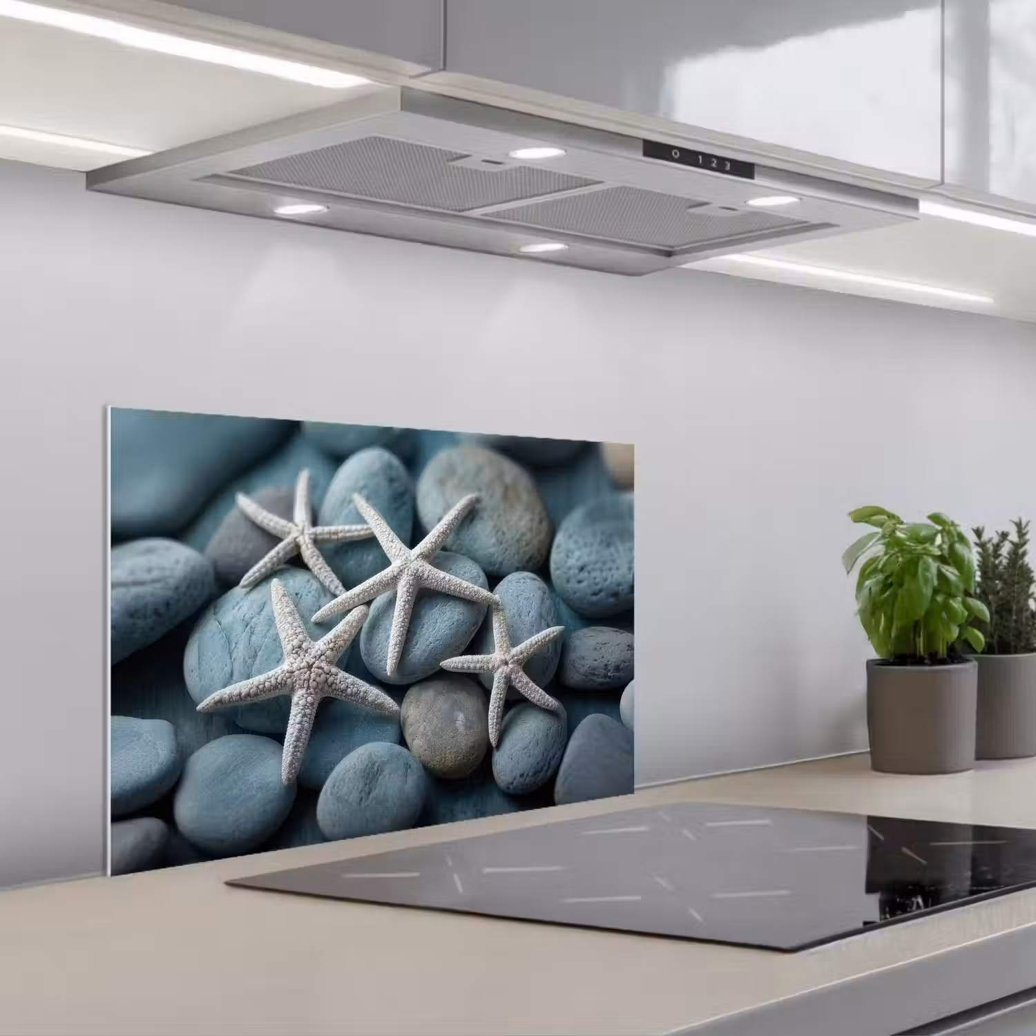 Zeesterren - Stenen - Wit keuken achterwand spatscherm klein -3d_schuin