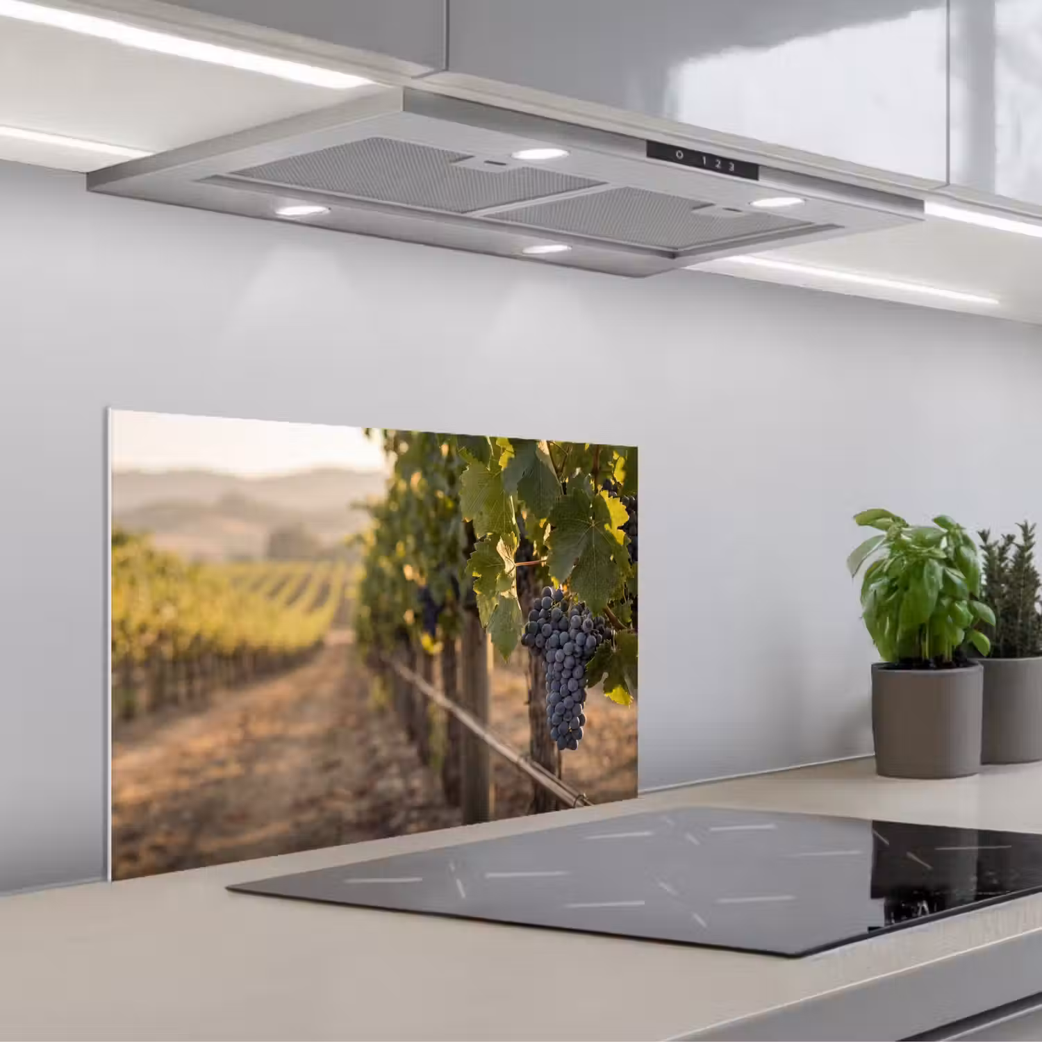 Druiven - Wijngaard - Zonlicht keuken achterwand spatscherm klein -3d_schuin