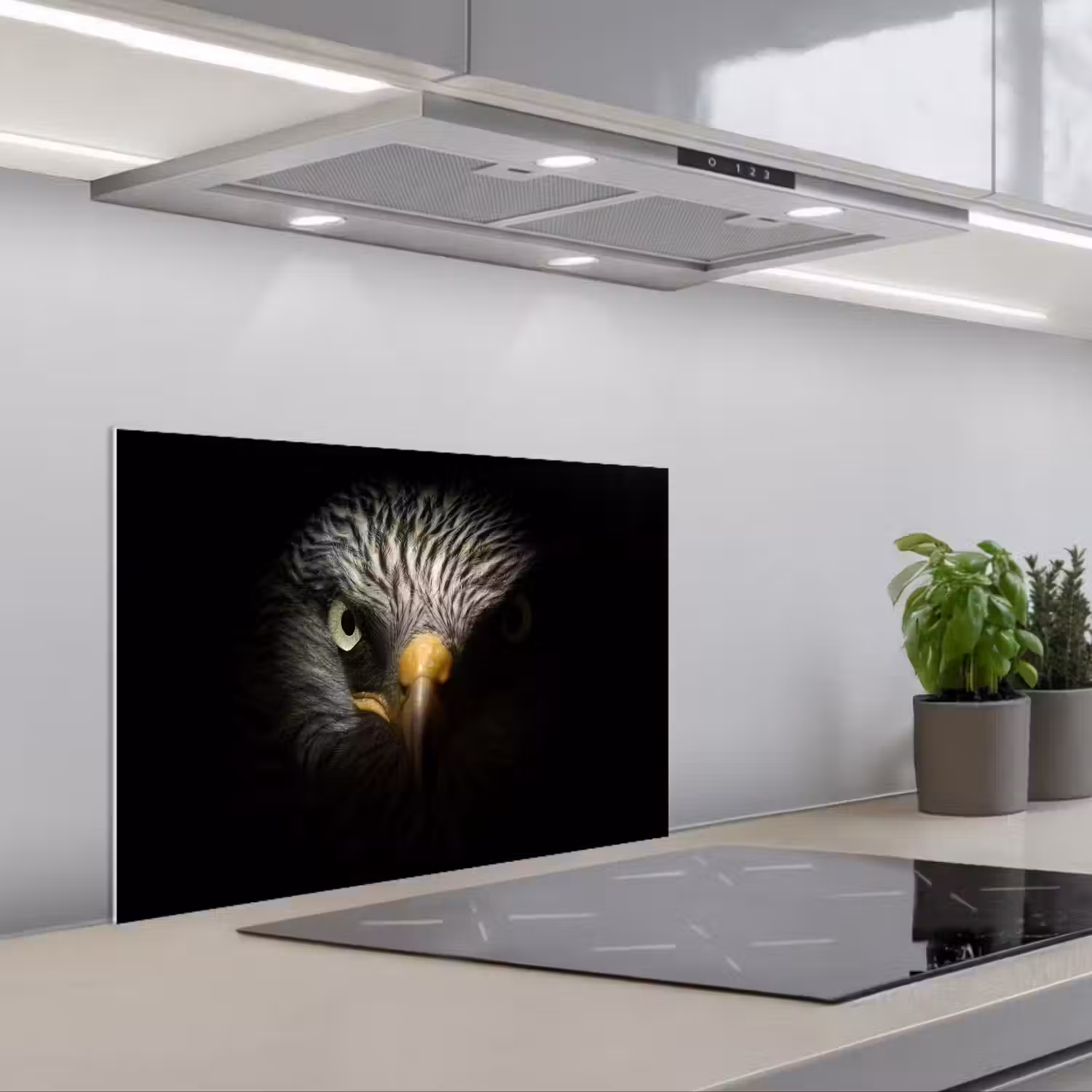 Vogel - Adelaar - Roofvogels - Oog - Snavel - Licht keuken achterwand spatscherm klein -3d_schuin