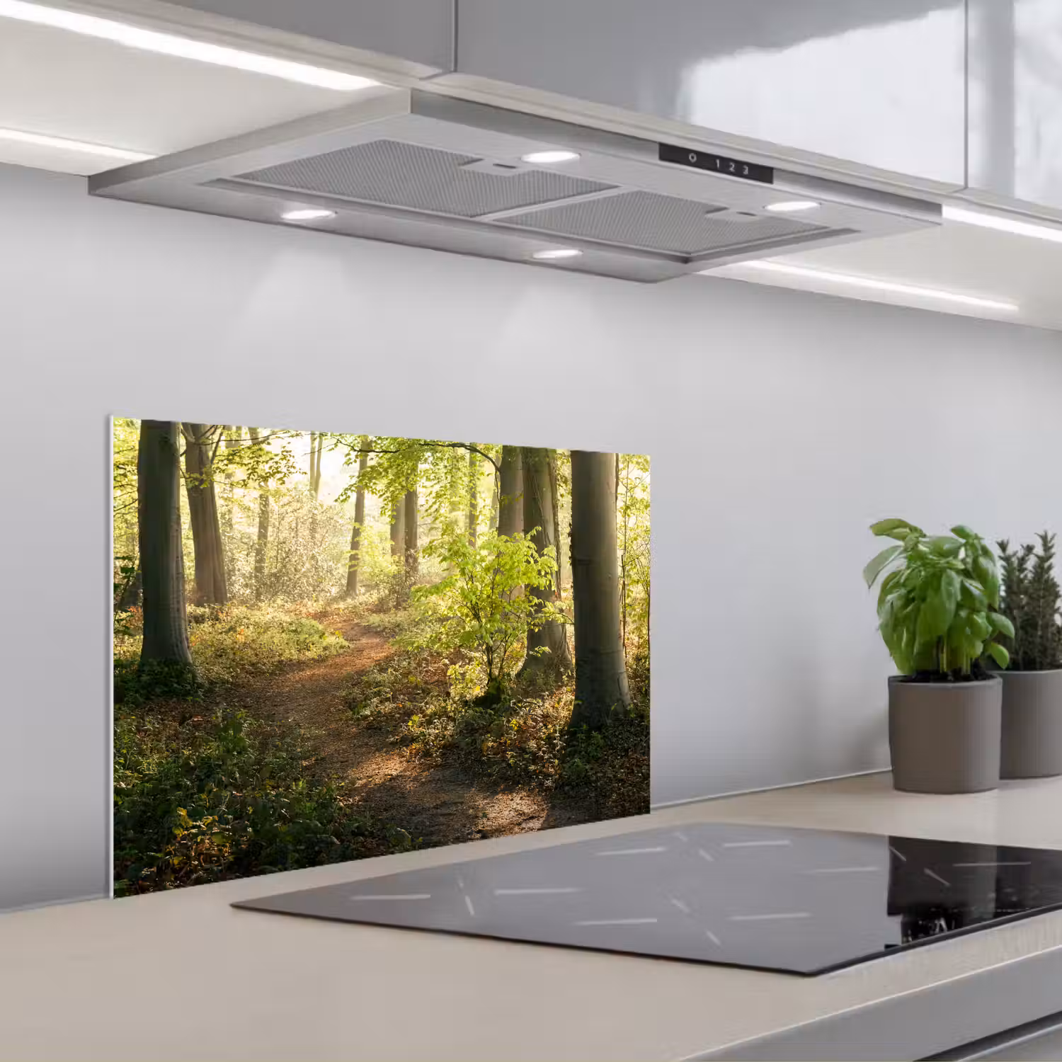 Bos - Bomen - Pad - Zon - Planten - Bladeren - Natuur keuken achterwand spatscherm klein -3d_schuin