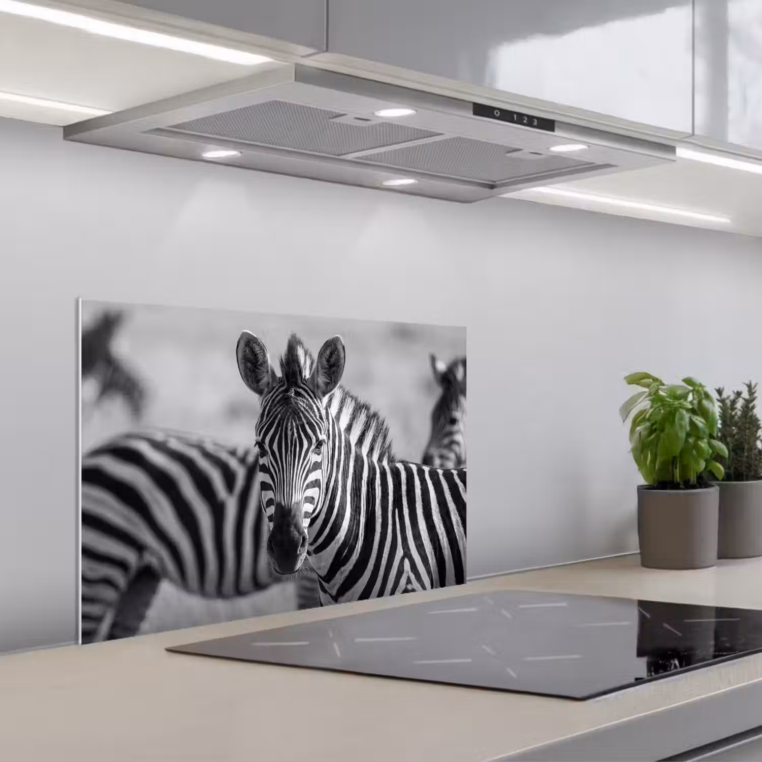 Zebra's - Zwart - Wit keuken achterwand spatscherm klein -3d_schuin