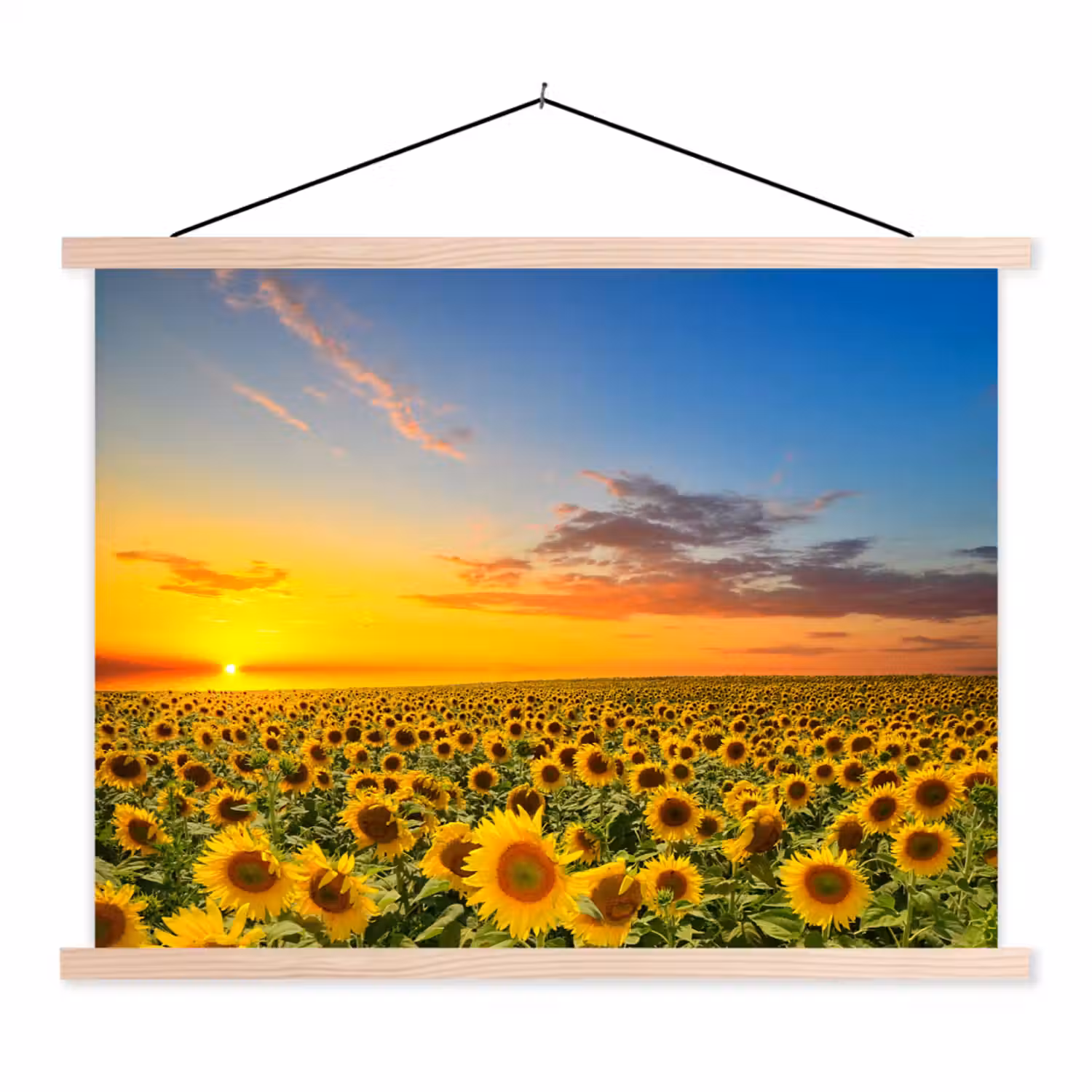 Bloemen - Zonnebloem - Zonsondergang - Nacht - Oranje textielposter latten blank klein -3d