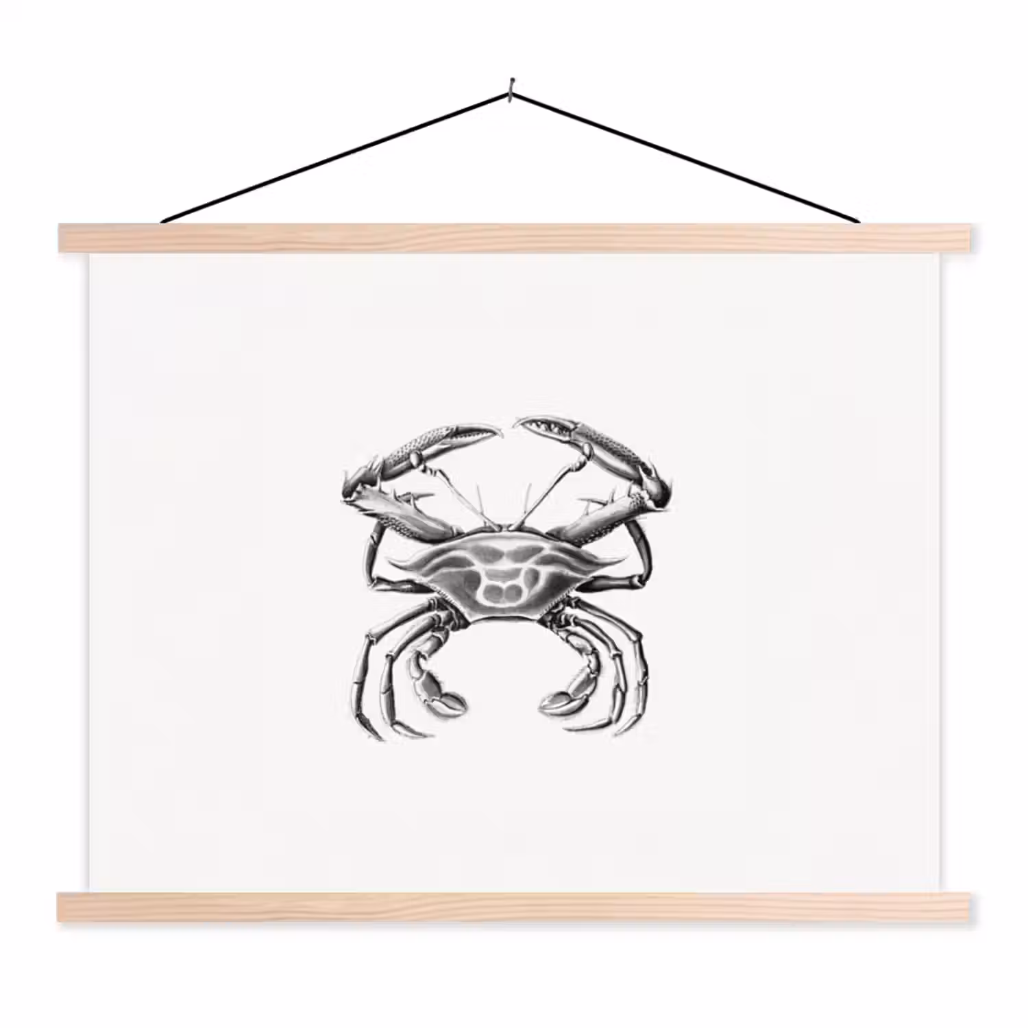Tuinposter zwart wit - Ernst Haeckel - Vintage - Tuin - Kunst textielposter latten blank klein -3d