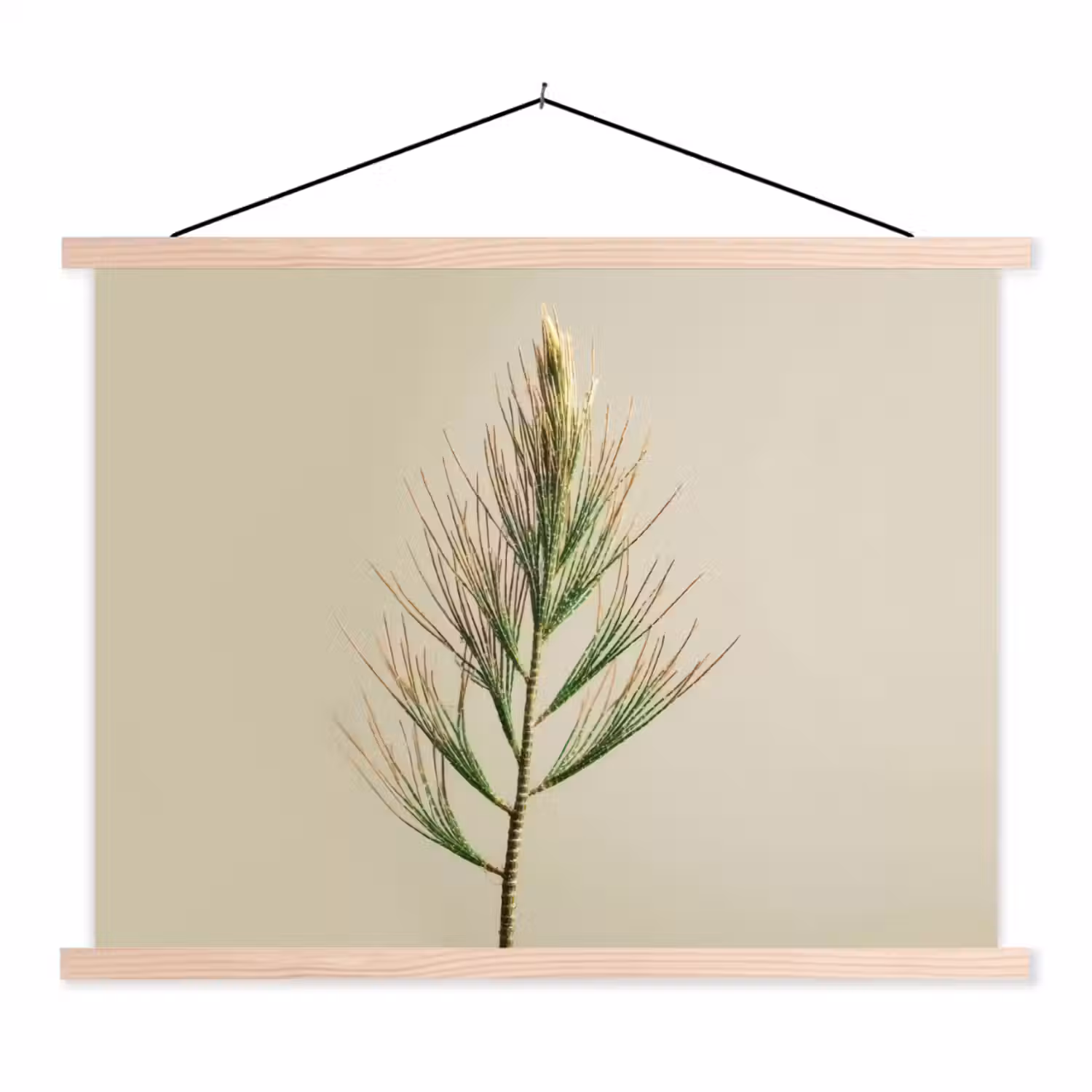 Dennentak - Naaldvormige bladeren - Lichtgroen textielposter latten blank klein -3d