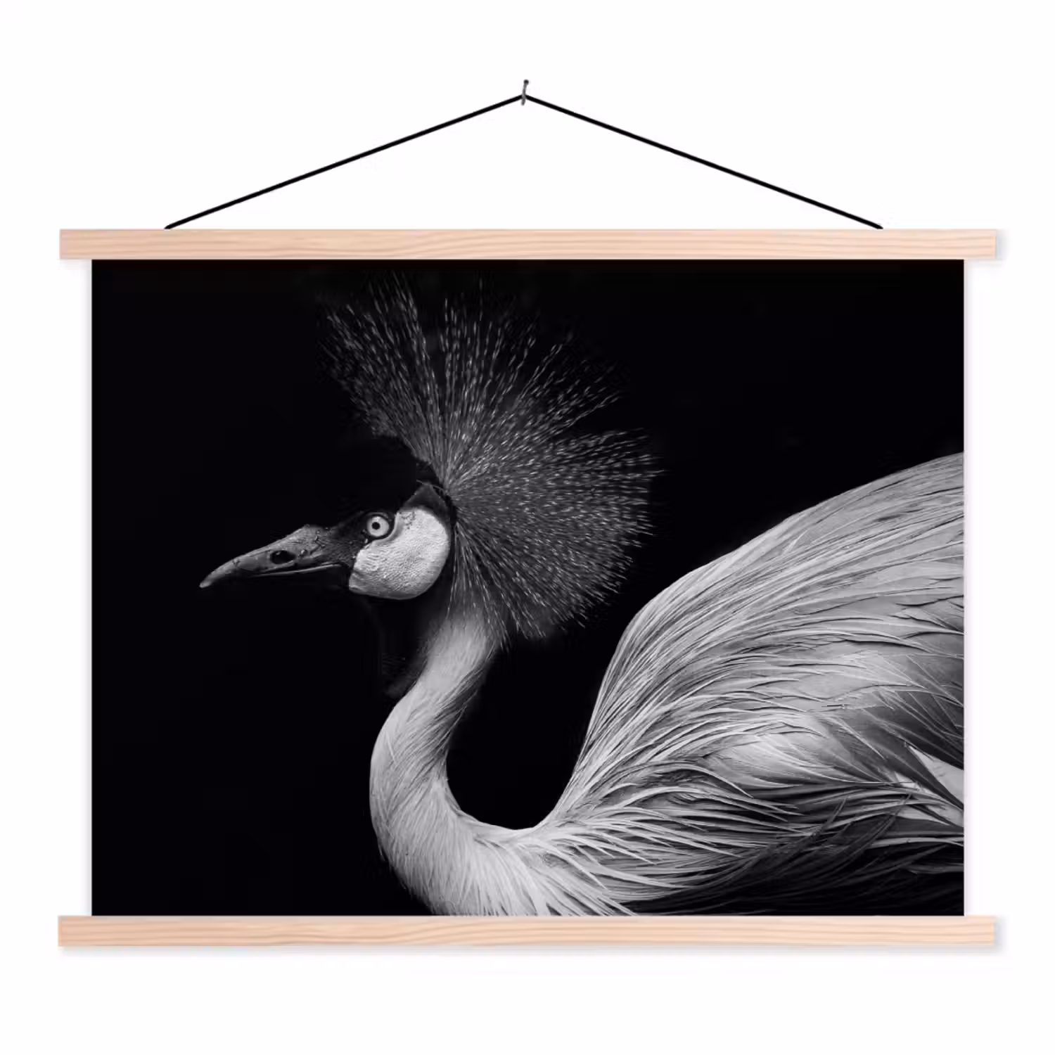 Kraanvogel - Zwart - Wit - Vogel - Dieren textielposter latten blank klein -3d