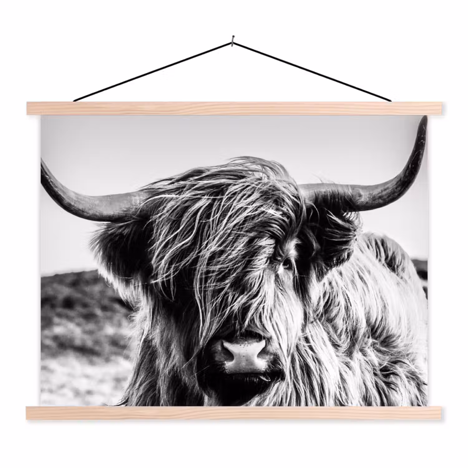 Koe - Schotse hooglander - Zwart - Wit - Dier - Natuur - Wild textielposter latten blank klein -3d