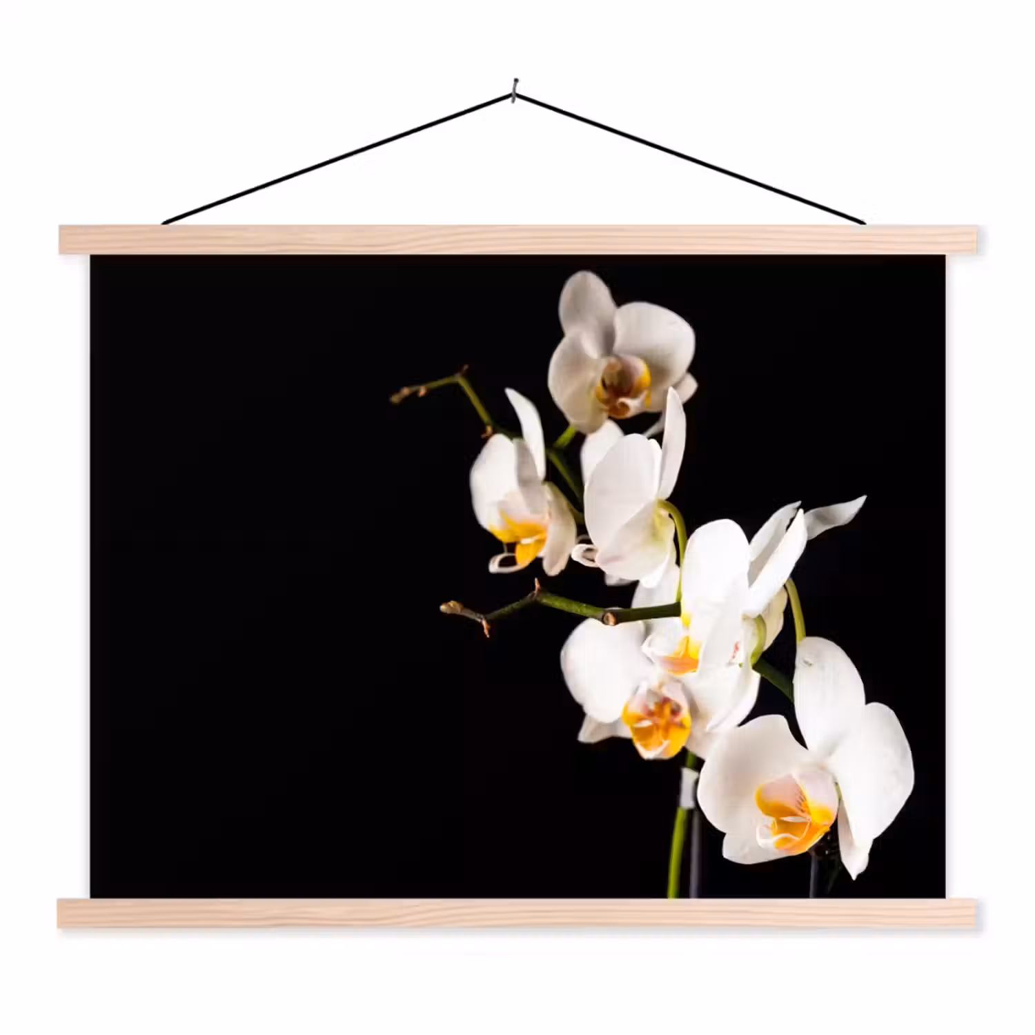 Orchidee - Bloemen - Planten - Botanisch textielposter latten blank klein -3d