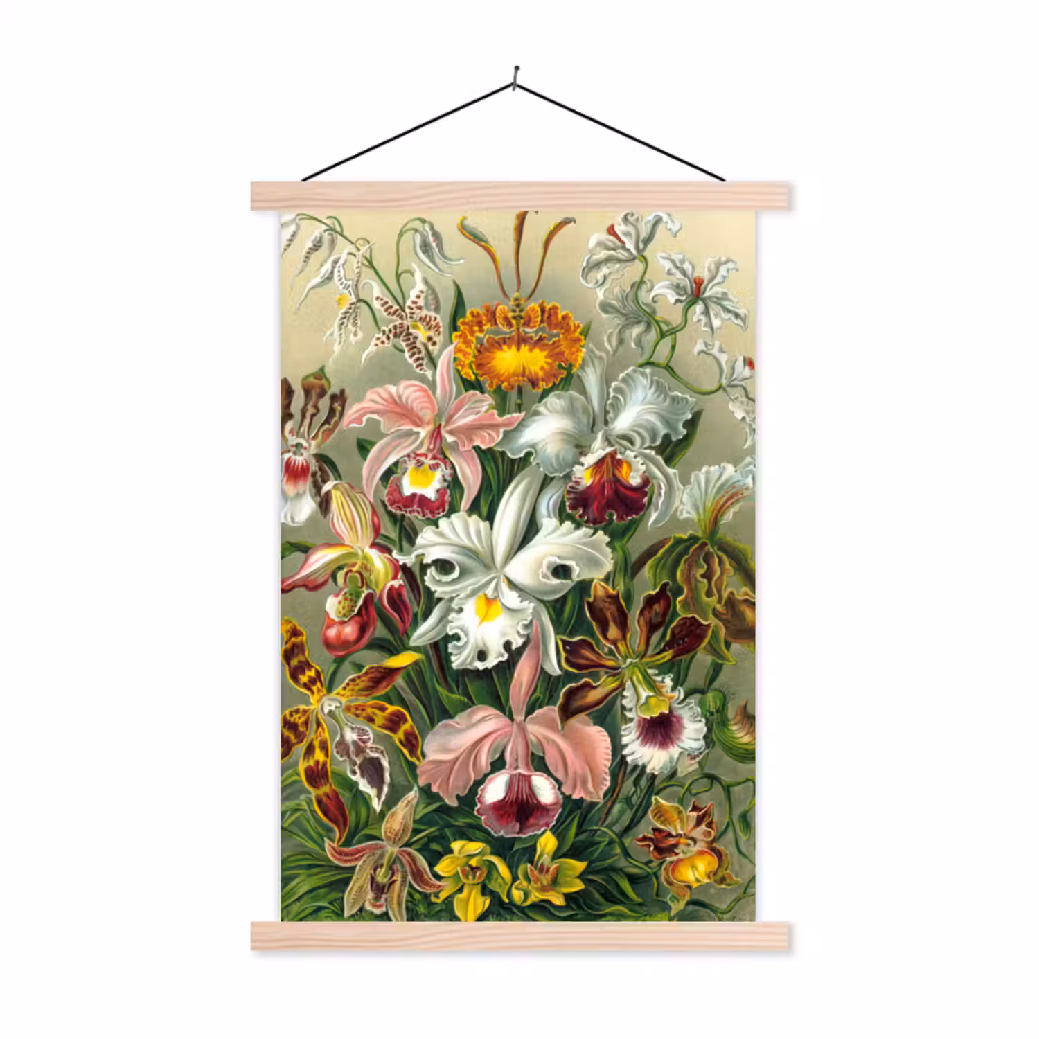 Planten - Natuur - Bloemen - Ernst Haeckel textielposter latten blank klein -3d
