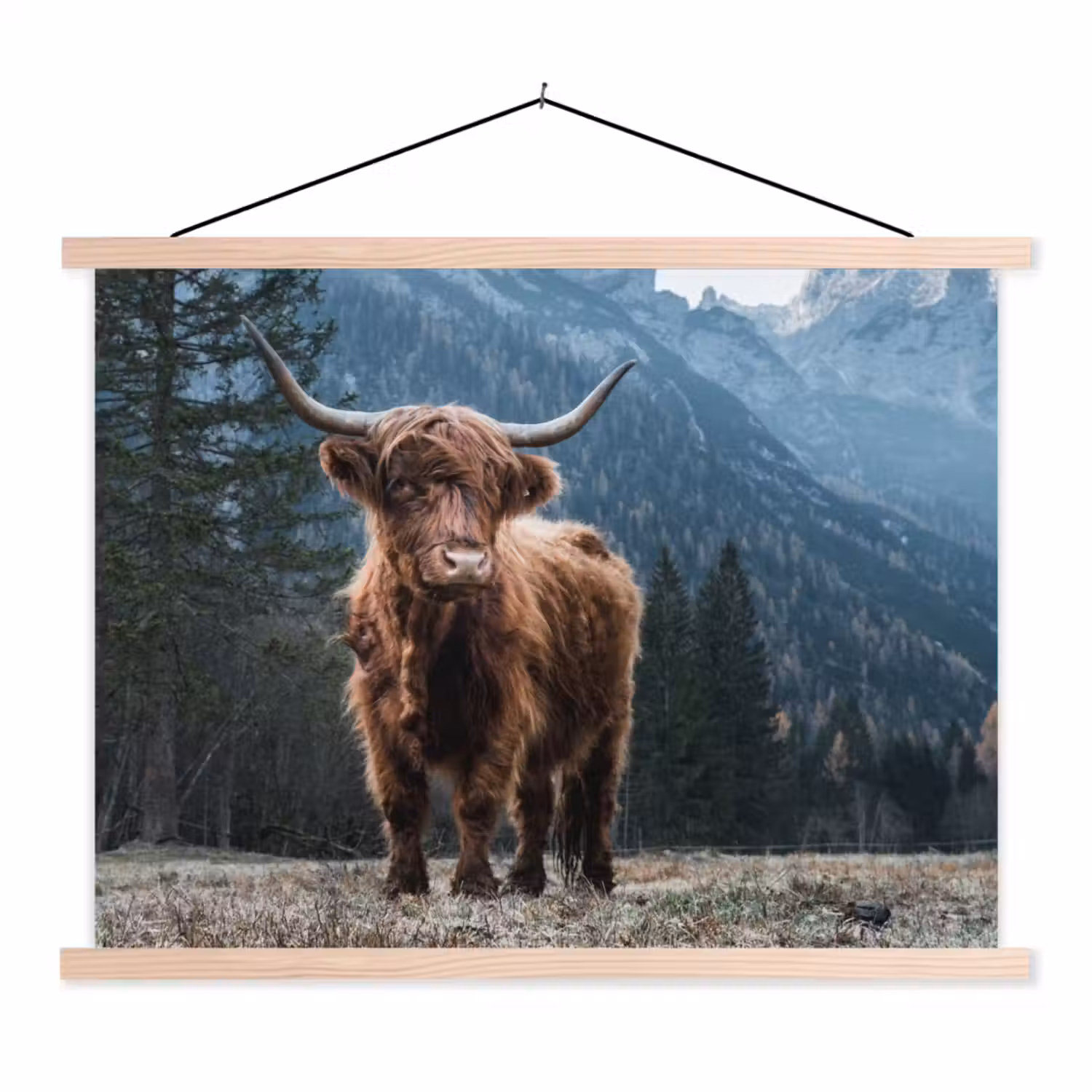 Schotse hooglander - Berg - Landschap - Bomen - Koe - Natuur textielposter latten blank klein -3d