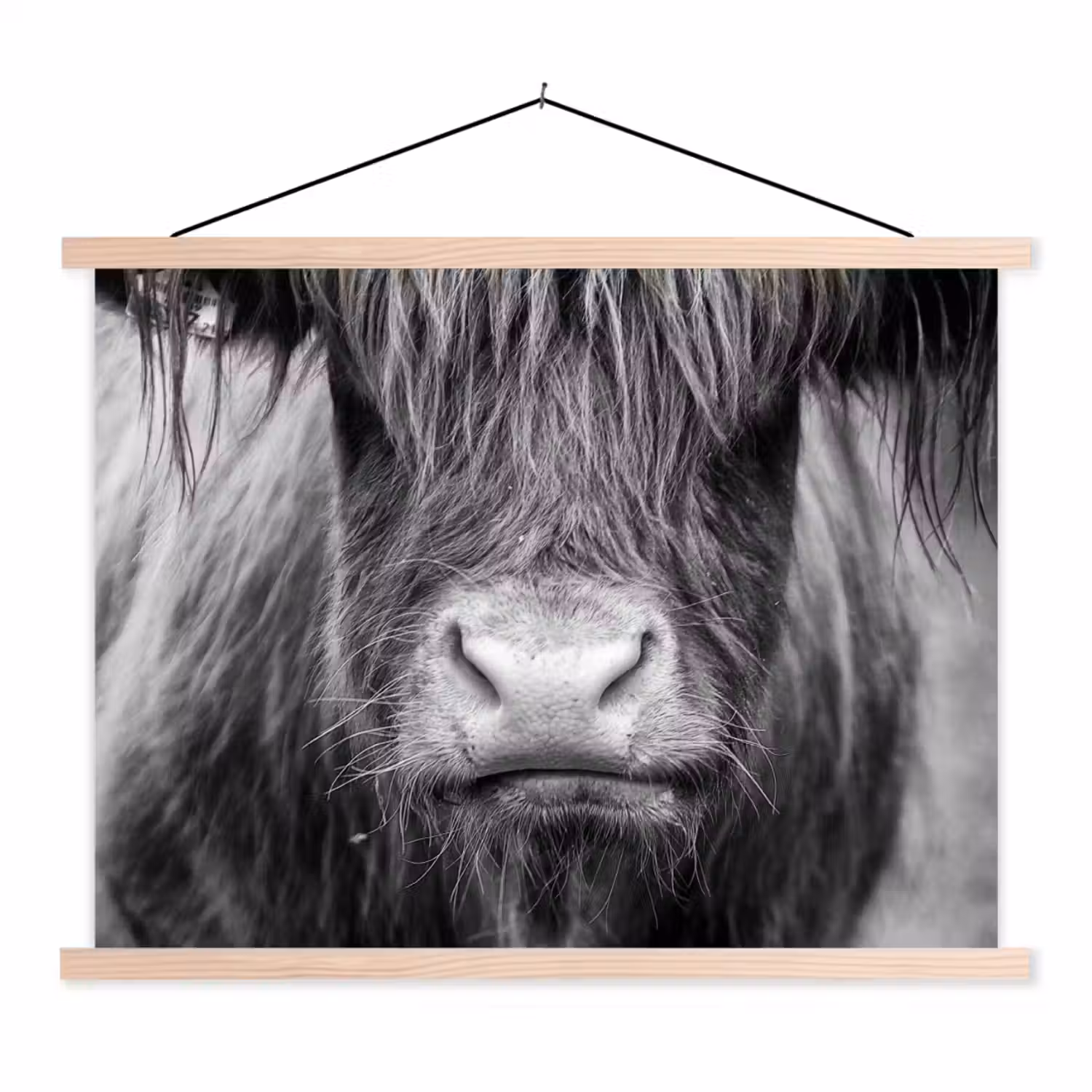Schotse hooglander - Koe - Zwart - Wit - Dieren textielposter latten blank klein -3d