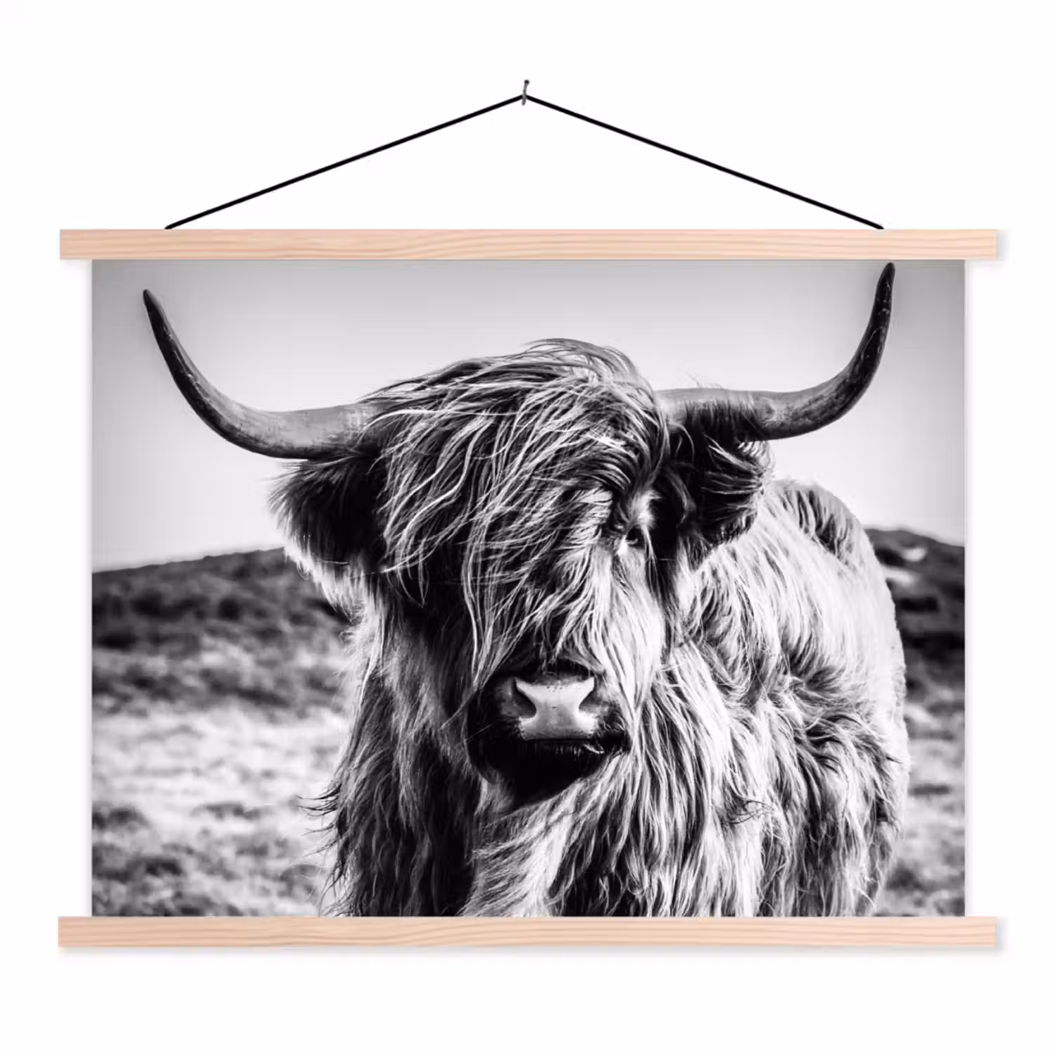 Schotse hooglander - Natuur - Koe - Zwart - Wit textielposter latten blank klein -3d