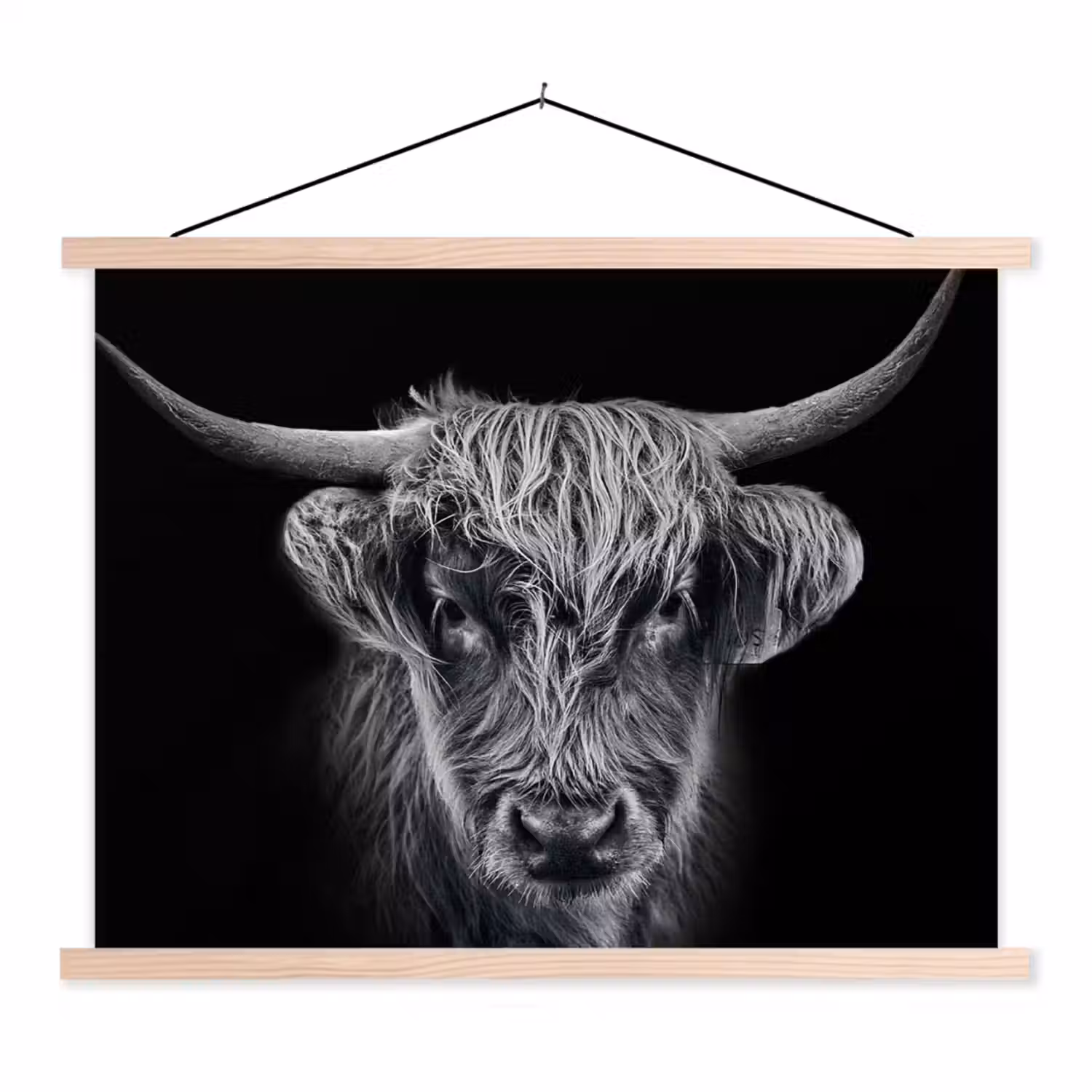 Schotse hooglander - Zwart - Koe - Dieren textielposter latten blank klein -3d