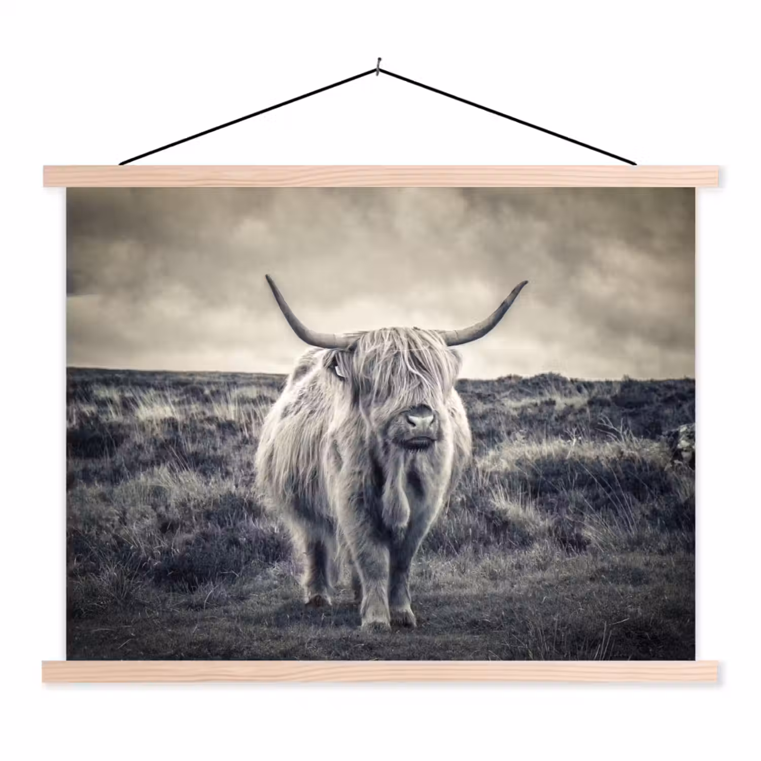 Schotse hooglander - Dieren - Wolken - Koe - Natuur textielposter latten blank klein -3d
