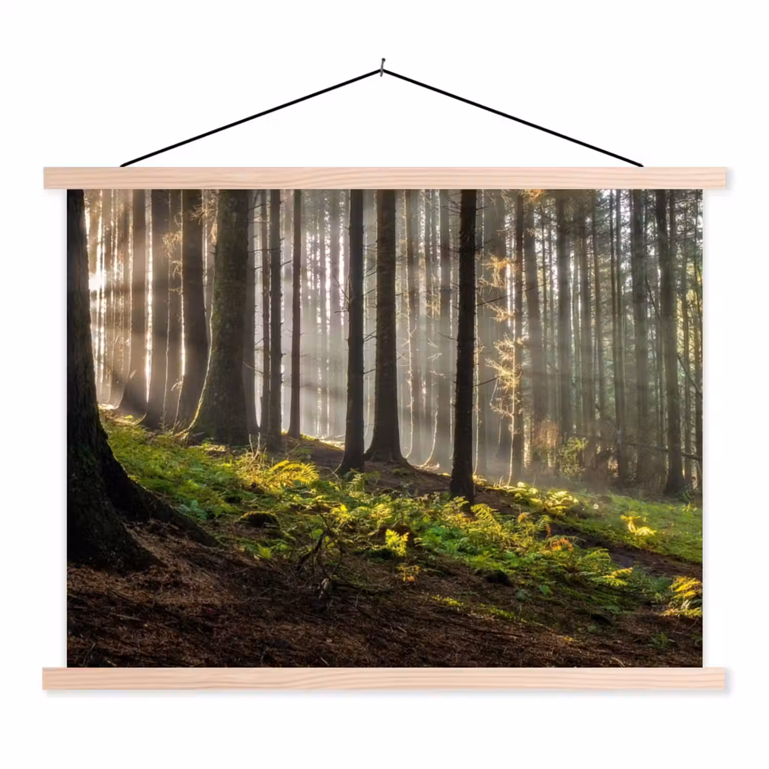 Zonlicht - Takken - Boom - Bos textielposter latten blank klein -3d