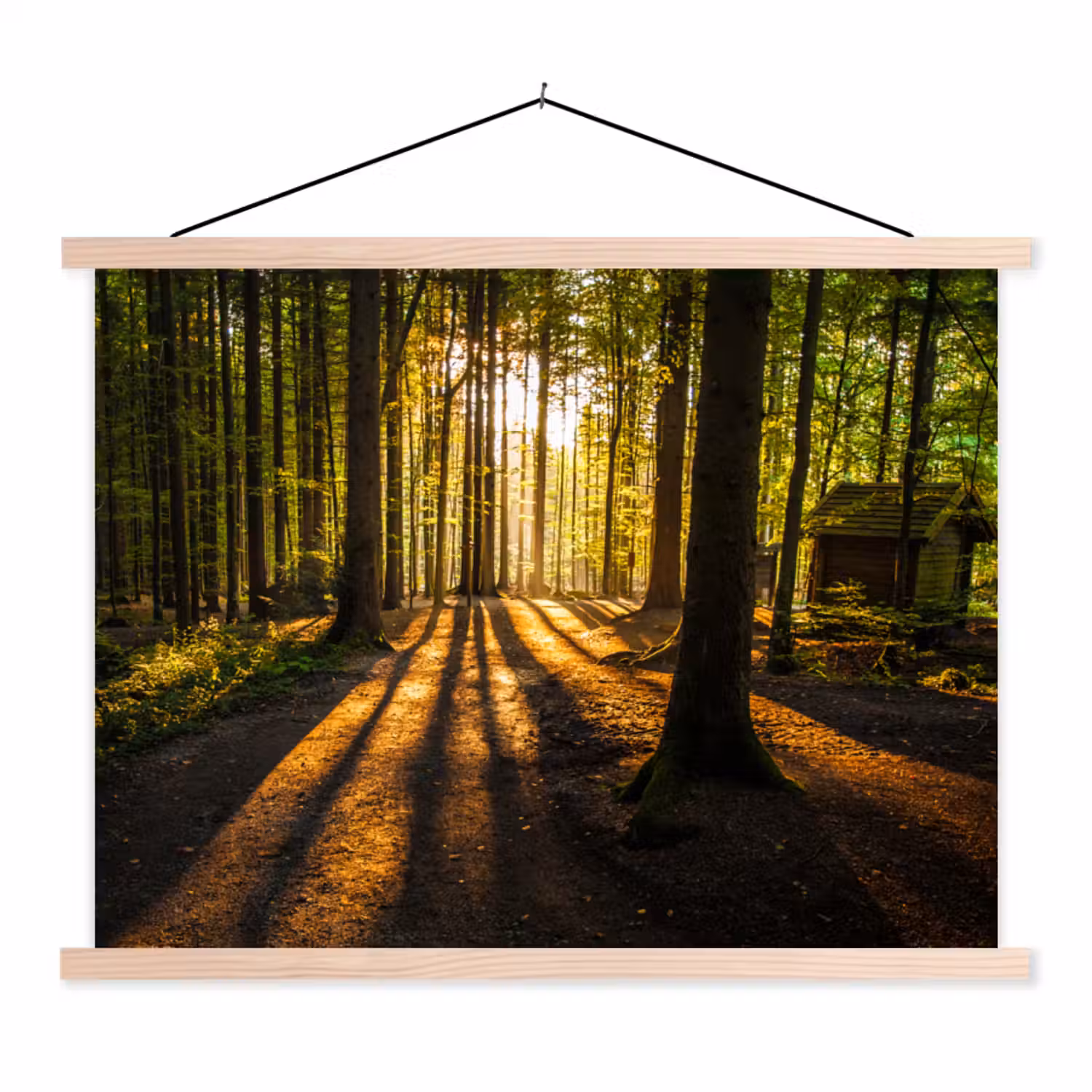 Zon - Bomen - Bos - Landschap textielposter latten blank klein -3d