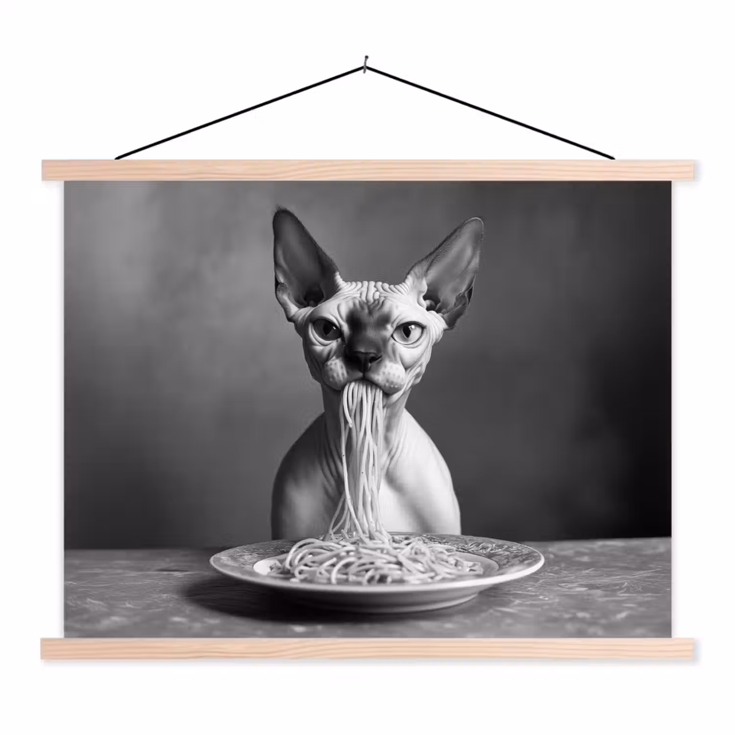 Sphynx - Kat - Dieren - Humor - Spaghetti - Zwart Wit textielposter latten blank klein -3d