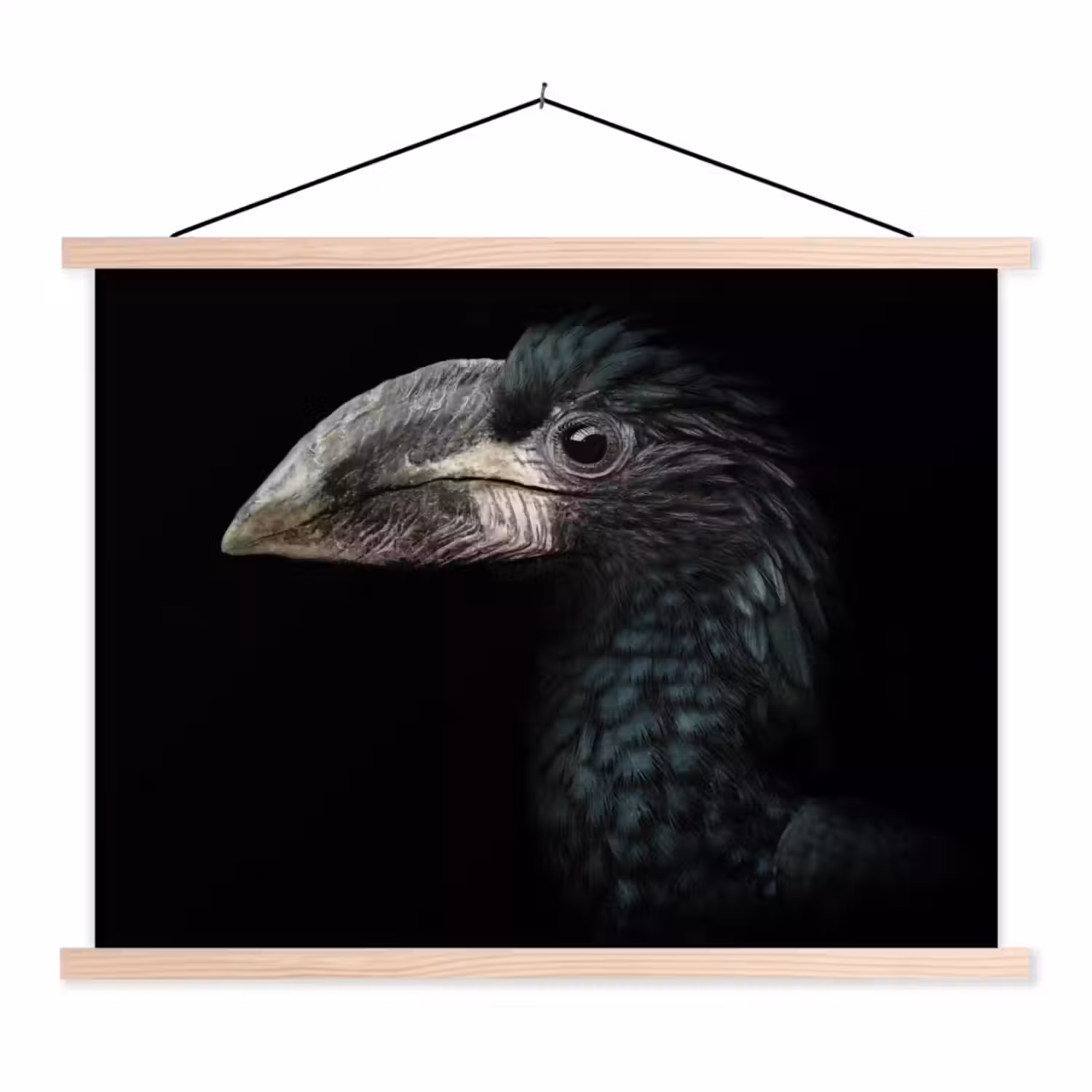 Vogel - Portret - Neushoornvogel - Zwart - Dieren textielposter latten blank klein -3d