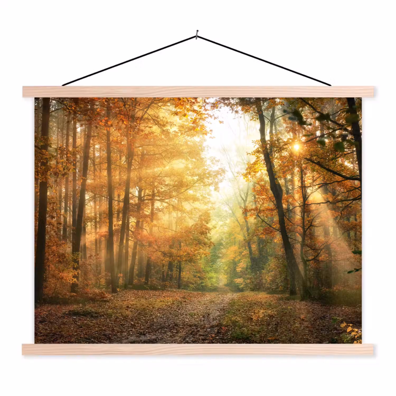 Bos - Herfst - Zon - Landschap - Natuur - Bomen - Bladeren textielposter latten blank klein -3d