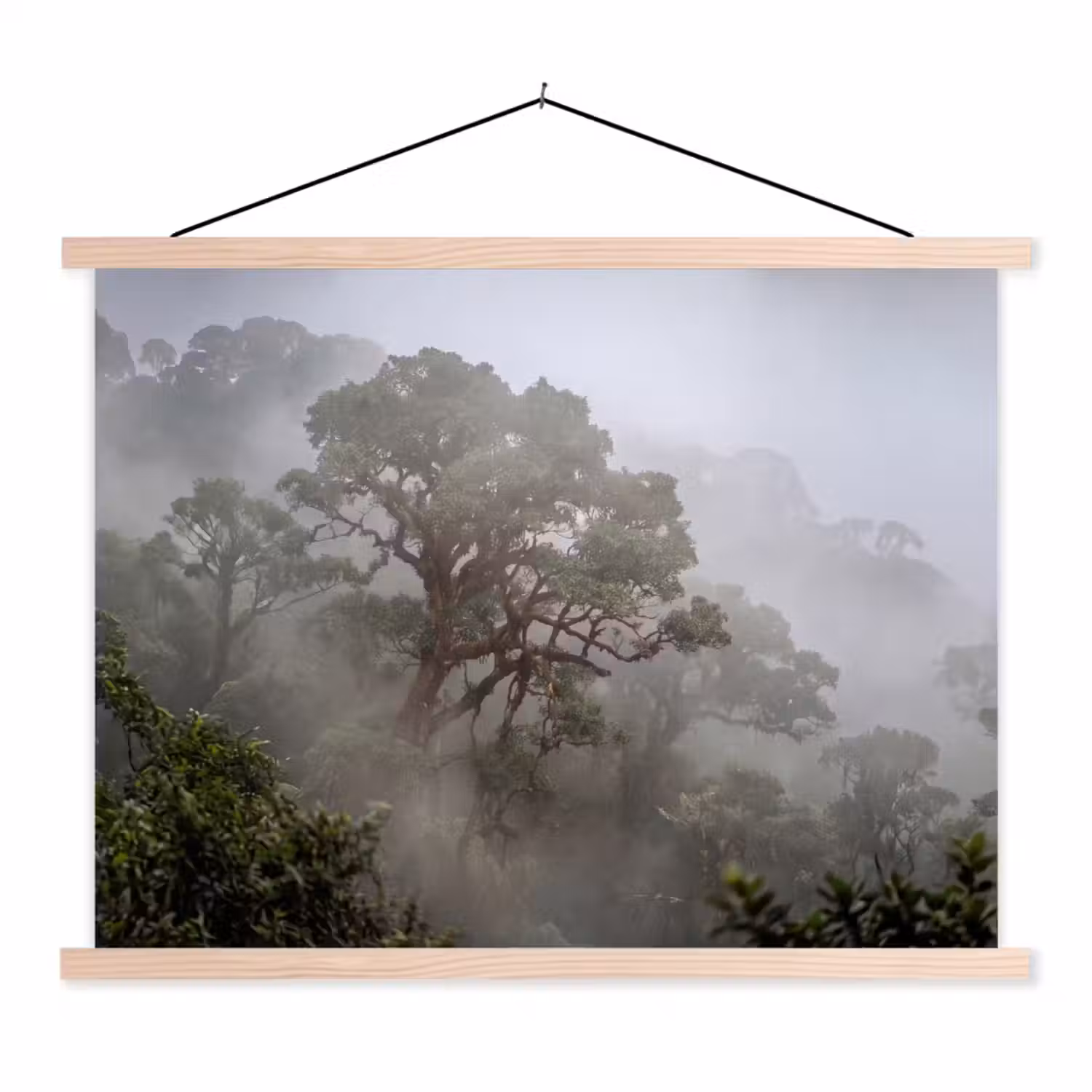 Boom - Mistig - Bos - Groen - Natuur textielposter latten blank klein -3d