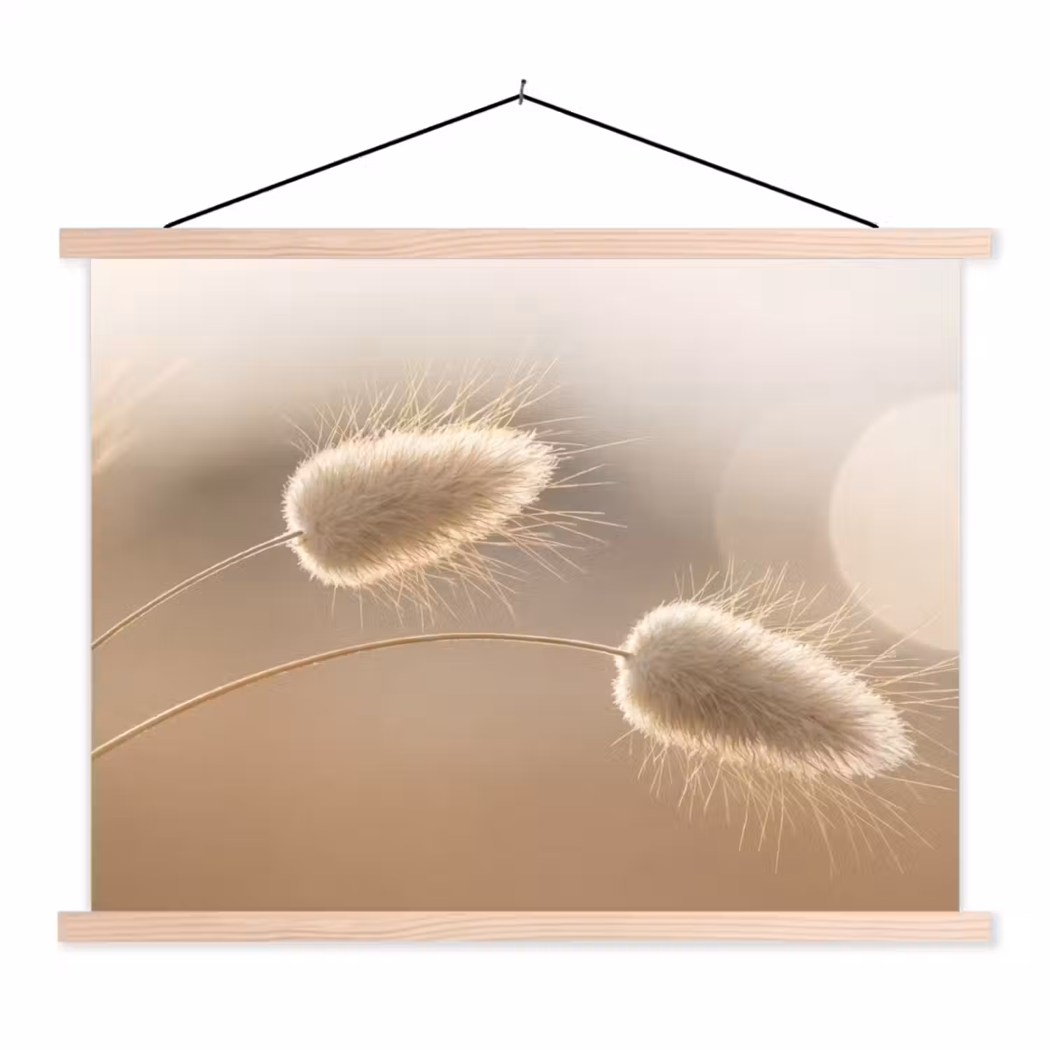 Hazestaartgras - Graanharen - Zonlicht textielposter latten blank klein -3d