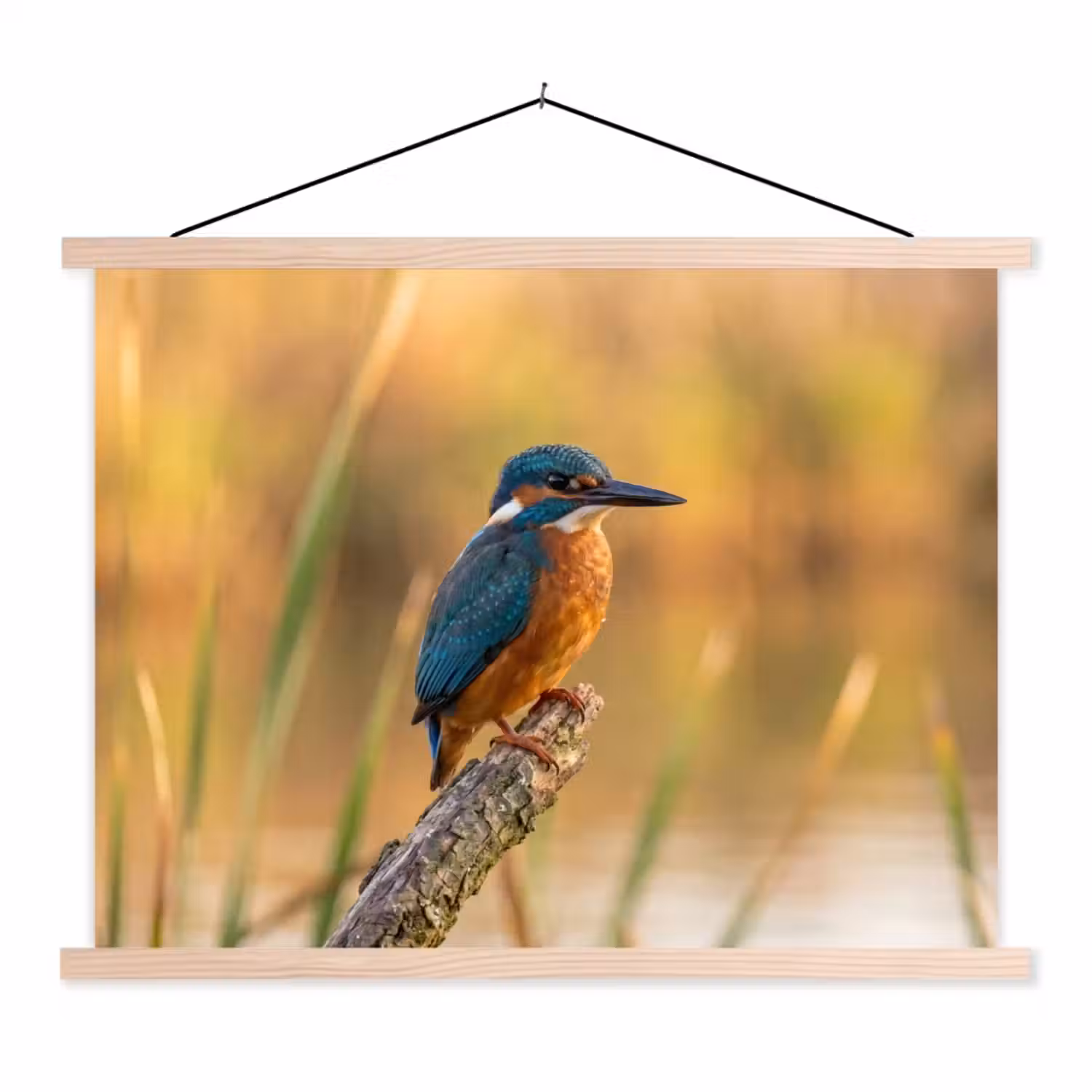 IJsvogel - Tak - Water - Kleurrijk - Levendig textielposter latten blank klein -3d