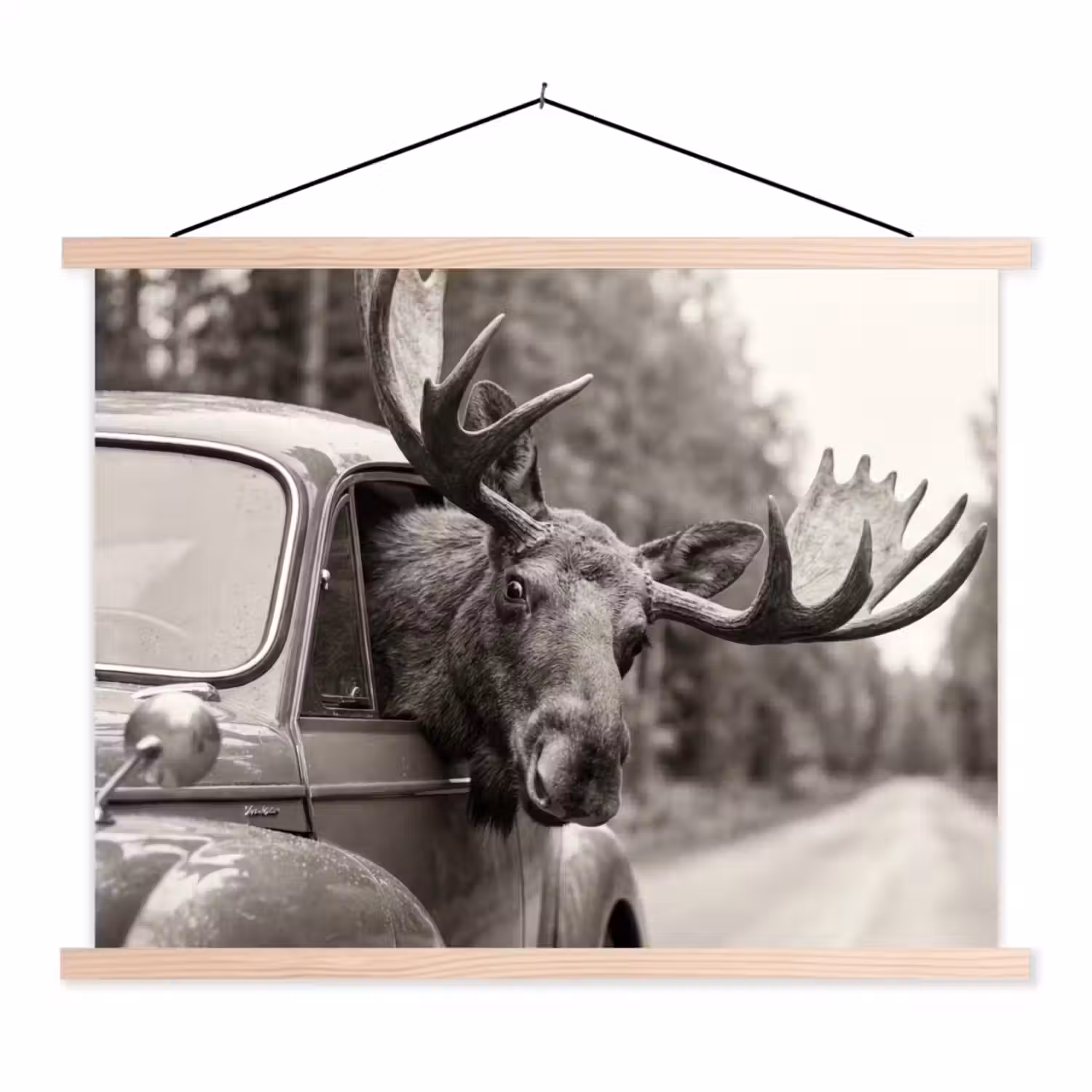 Eland - Auto - Gewei - Zwart - Wit textielposter latten blank klein -3d