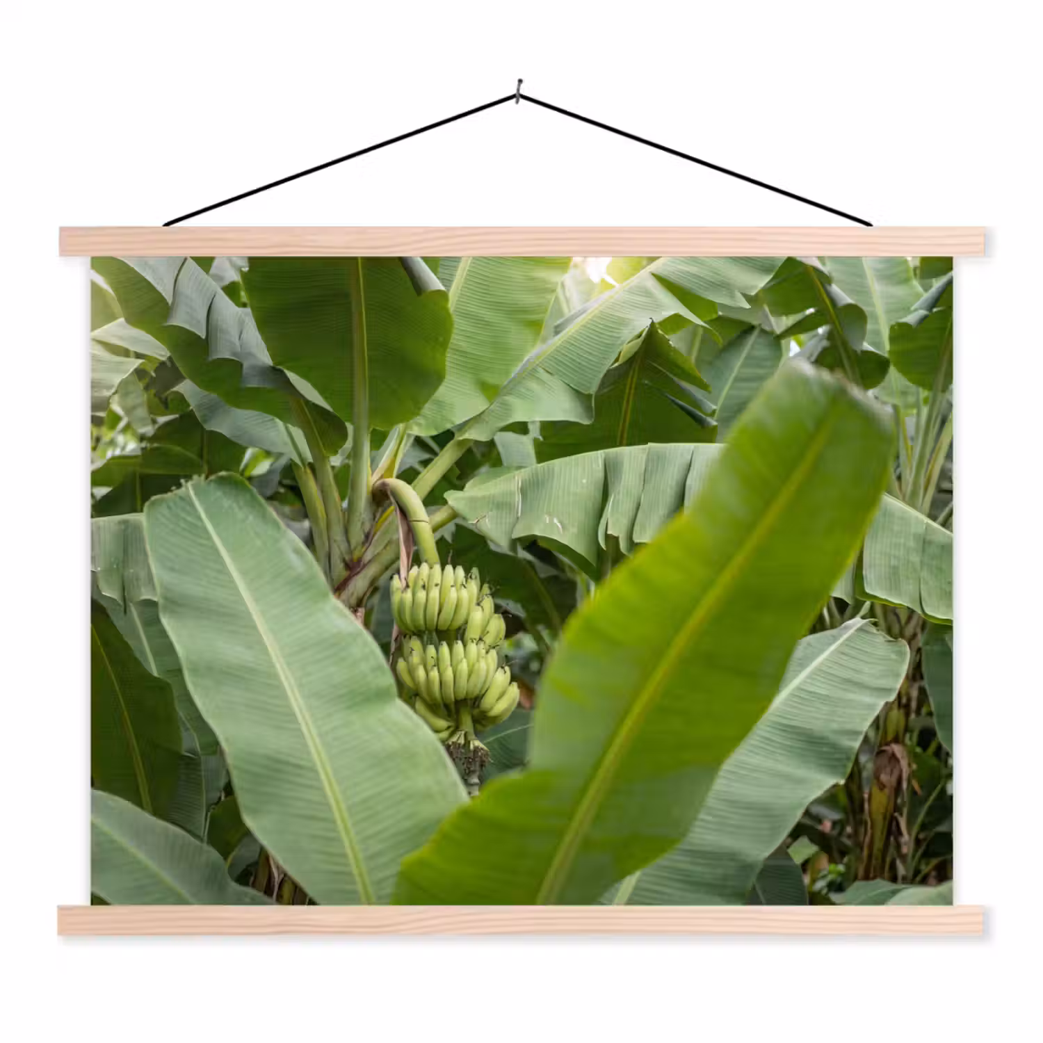 Eten - Bananen - Plantage - Groen textielposter latten blank klein -3d