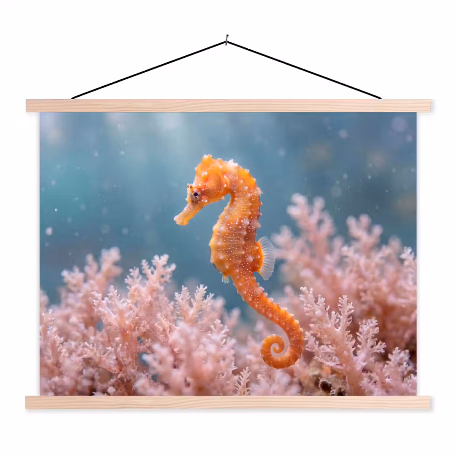 Vis - Koraal - Oceaan - Macro - Oranje textielposter latten blank klein -3d