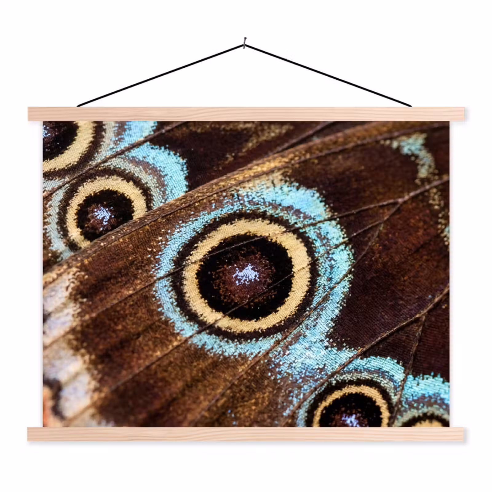 Stoffbild - Flügel - Schmetterling - Blau - Vleugels - Vlinder - Blauw textielposter latten blank klein