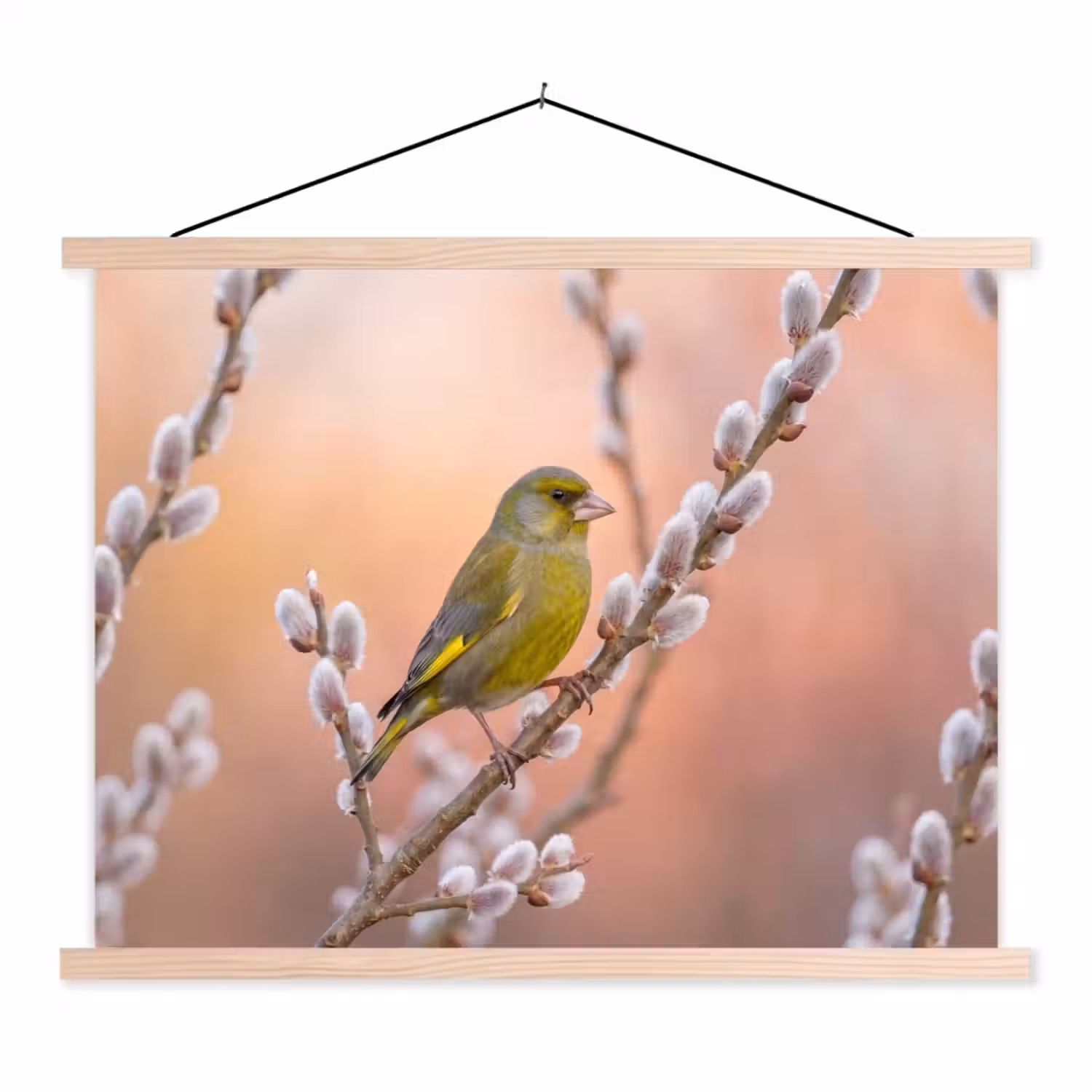 Groenling - Katjes - Lente - Natuur - Zacht textielposter latten blank klein -3d