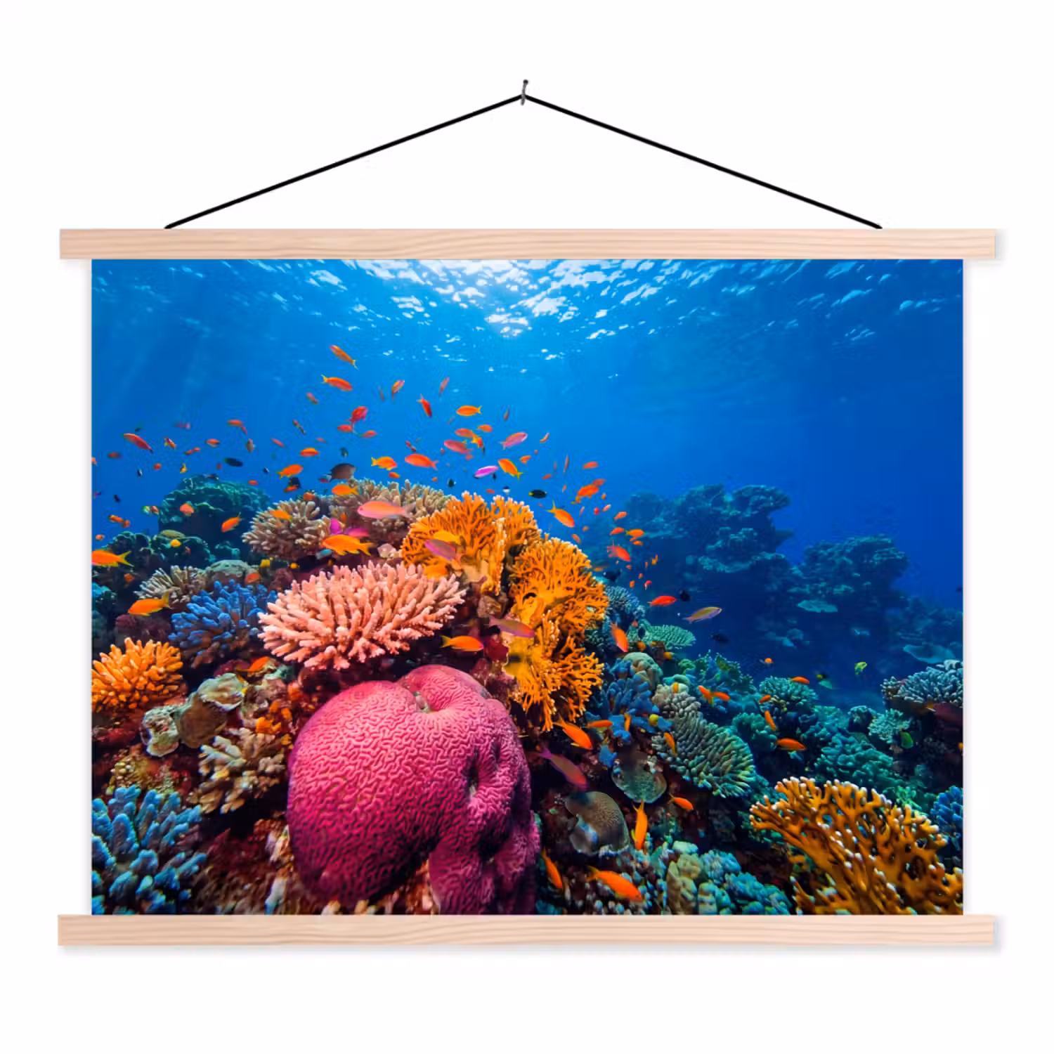Koraal - Vissen - Oceaan - Natuur - Kleurrijk textielposter latten blank klein -3d