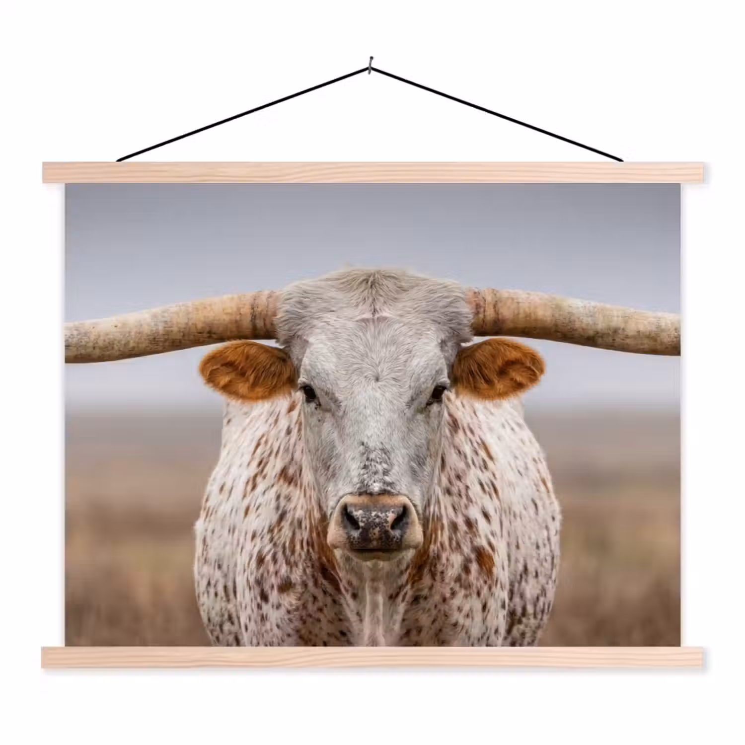 Longhorn - Grasveld - Dier textielposter latten blank klein -3d