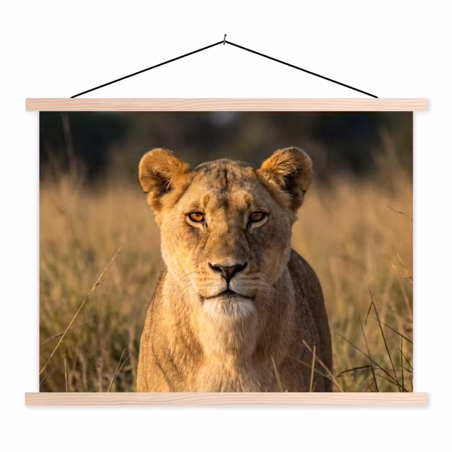Leeuwin - Gras - Geel textielposter latten blank klein -3d