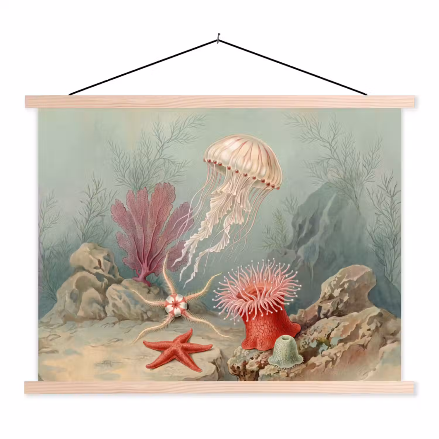 Zeeleven - Kwal - Onderwater - Illustratie - Beige textielposter latten blank klein -3d