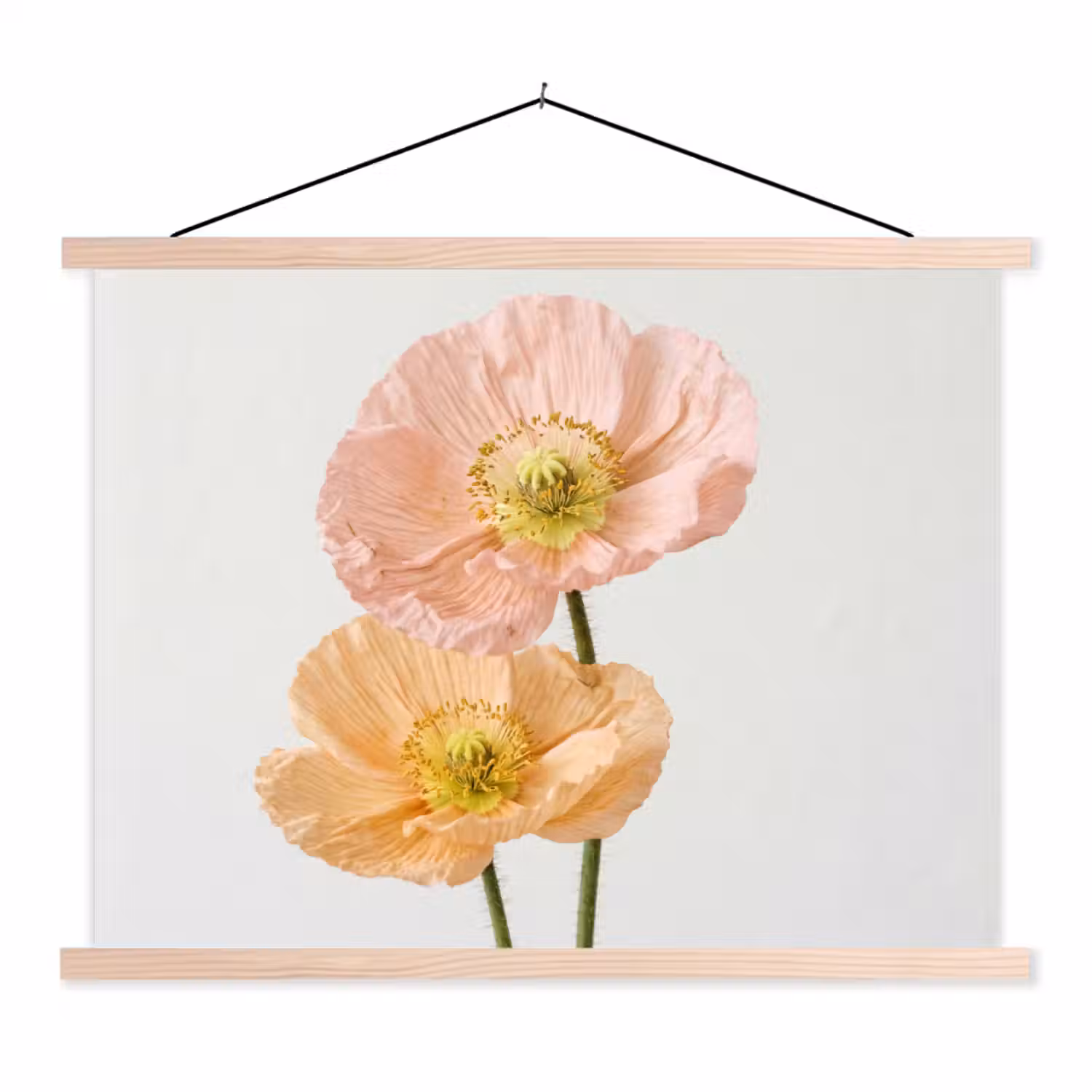 Papavers - Botanisch - Roze textielposter latten blank klein -3d