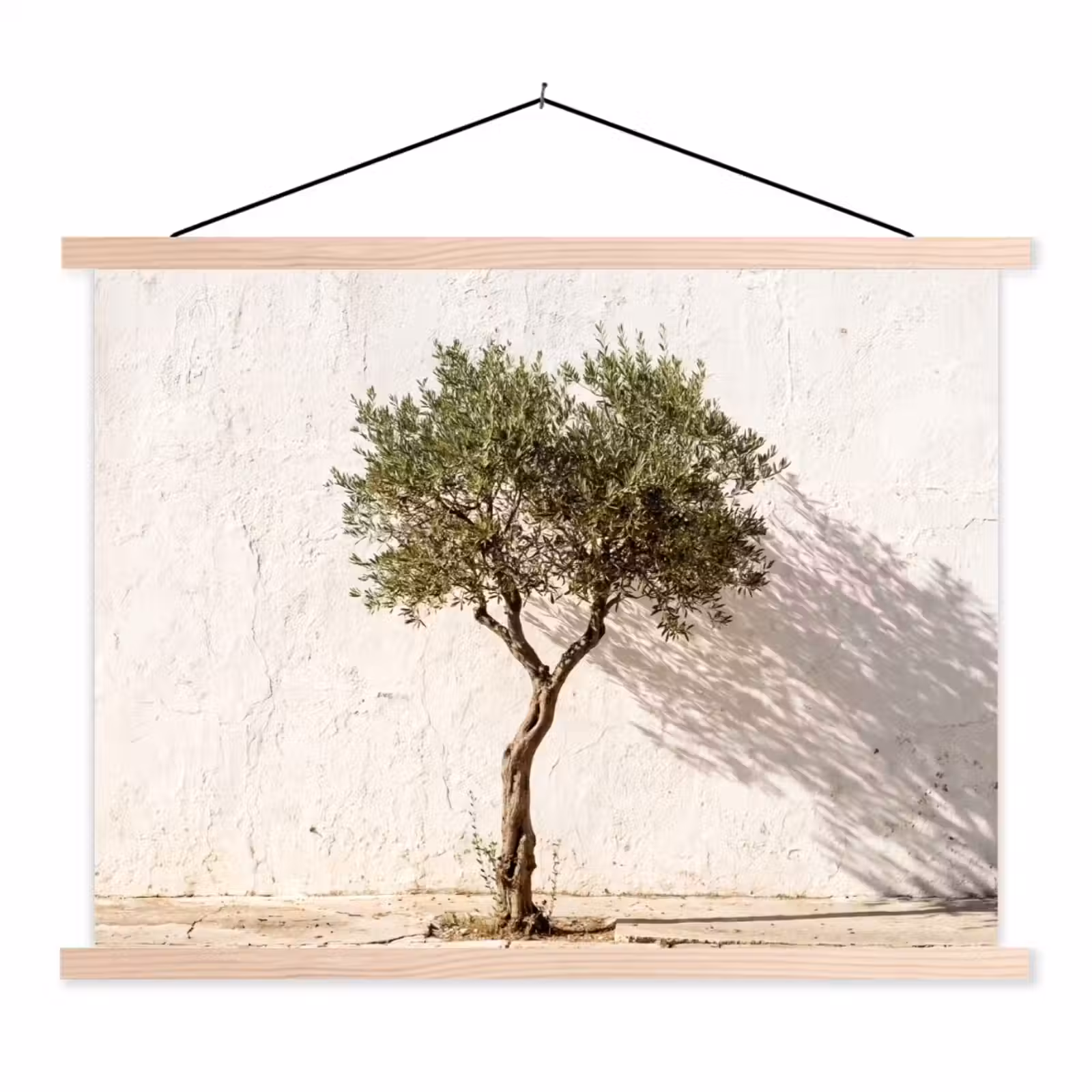 Stoffbild - Olivenbaum – Wand – weiß - Olijfboom - muur - wit textielposter latten blank klein
