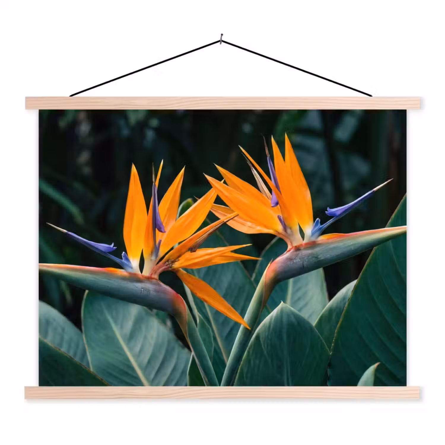 Paradijsvogel - Bloem - Exotisch textielposter latten blank klein -3d