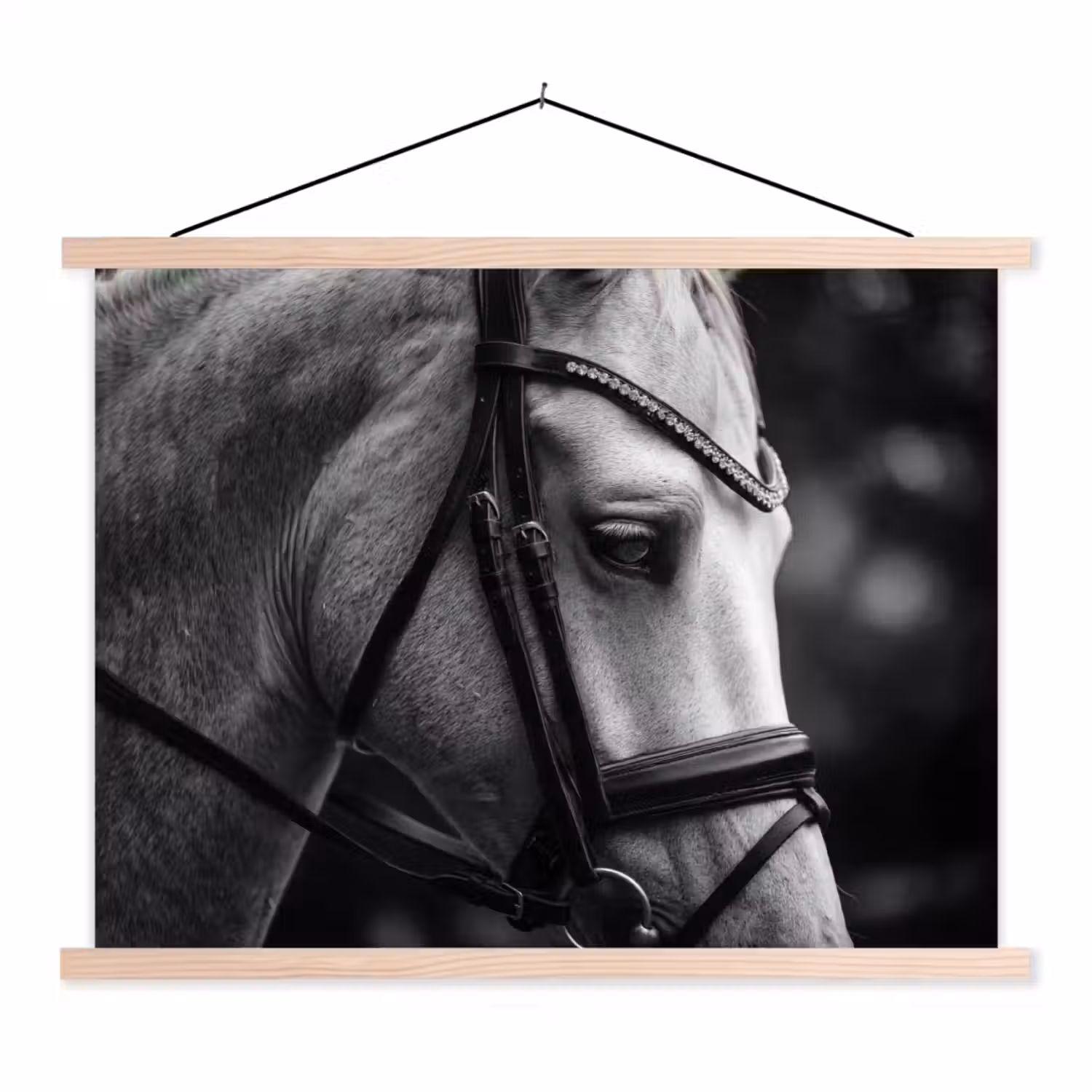 Paard - Schimmel - Portret textielposter latten blank klein -3d