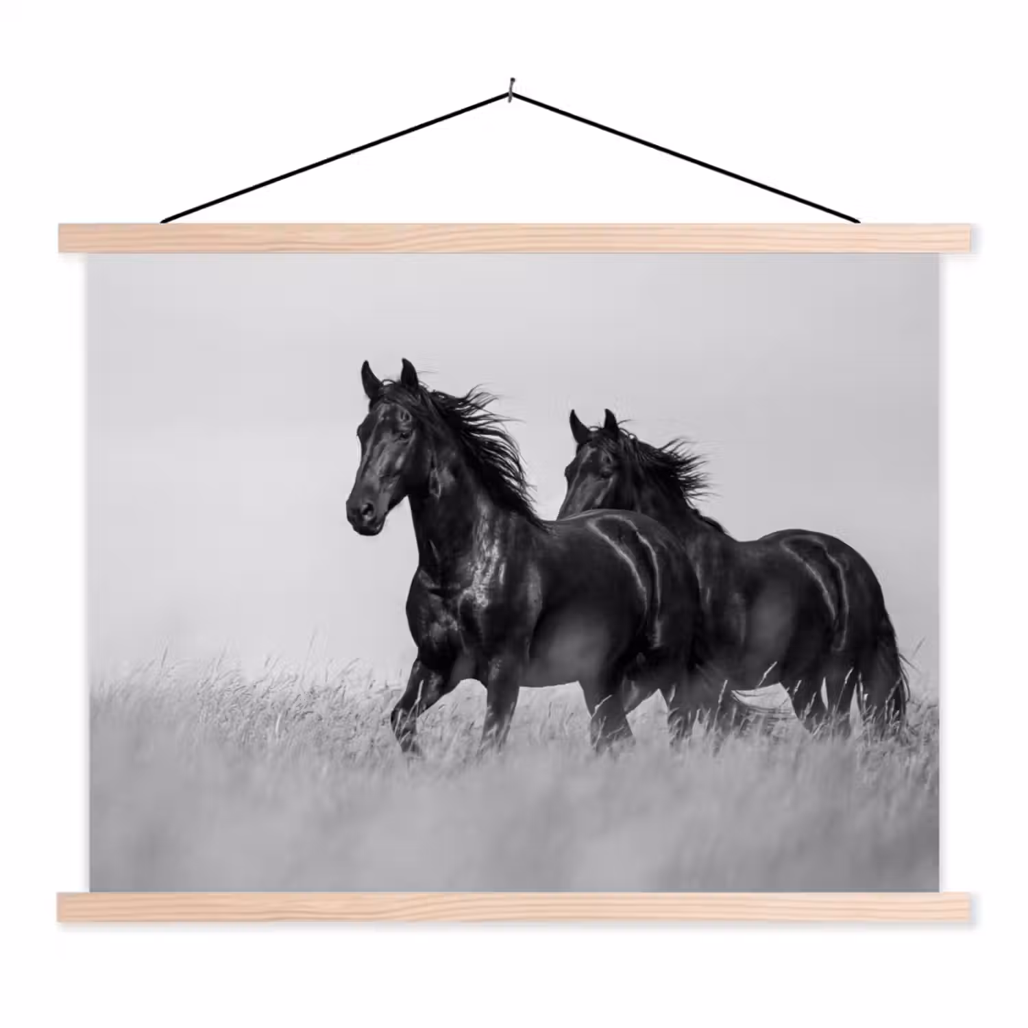 Paarden - Gras - Zwart - Wit textielposter latten blank klein -3d