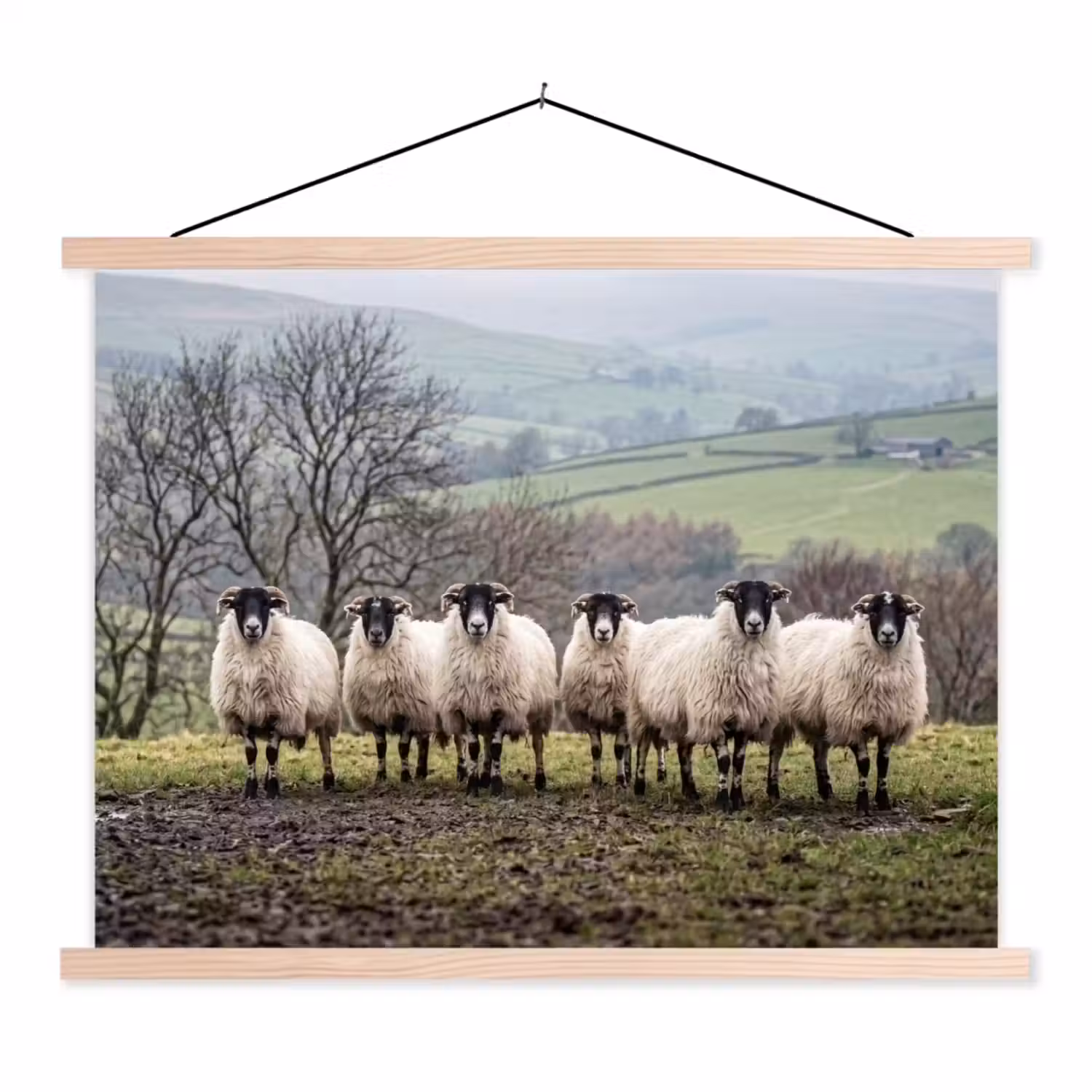 Schapen - Rij - Weide - Dieren - Platteland textielposter latten blank klein -3d