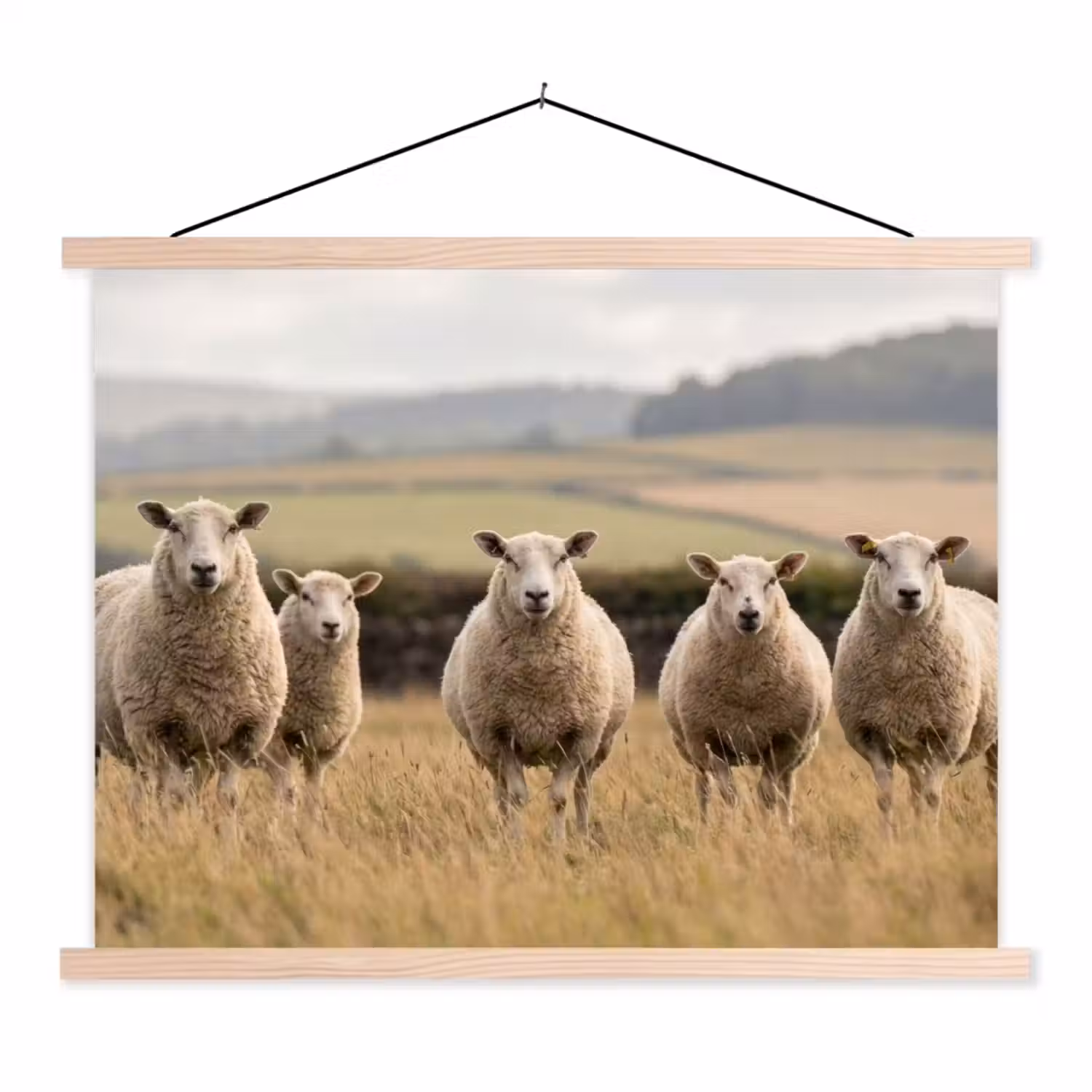 Schapen - Weidenlandschap - Heuvels textielposter latten blank klein -3d