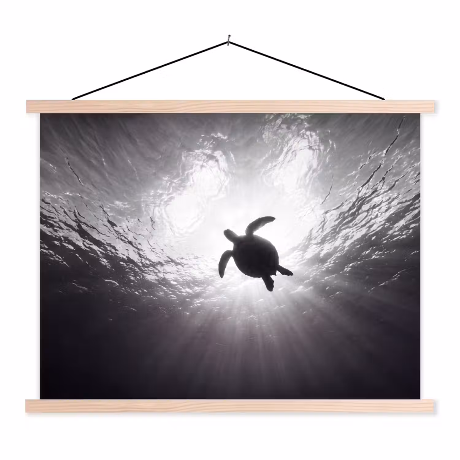 Schildpad - Onderwater - Lichtstralen - Oceaan - Zwart-wit textielposter latten blank klein -3d