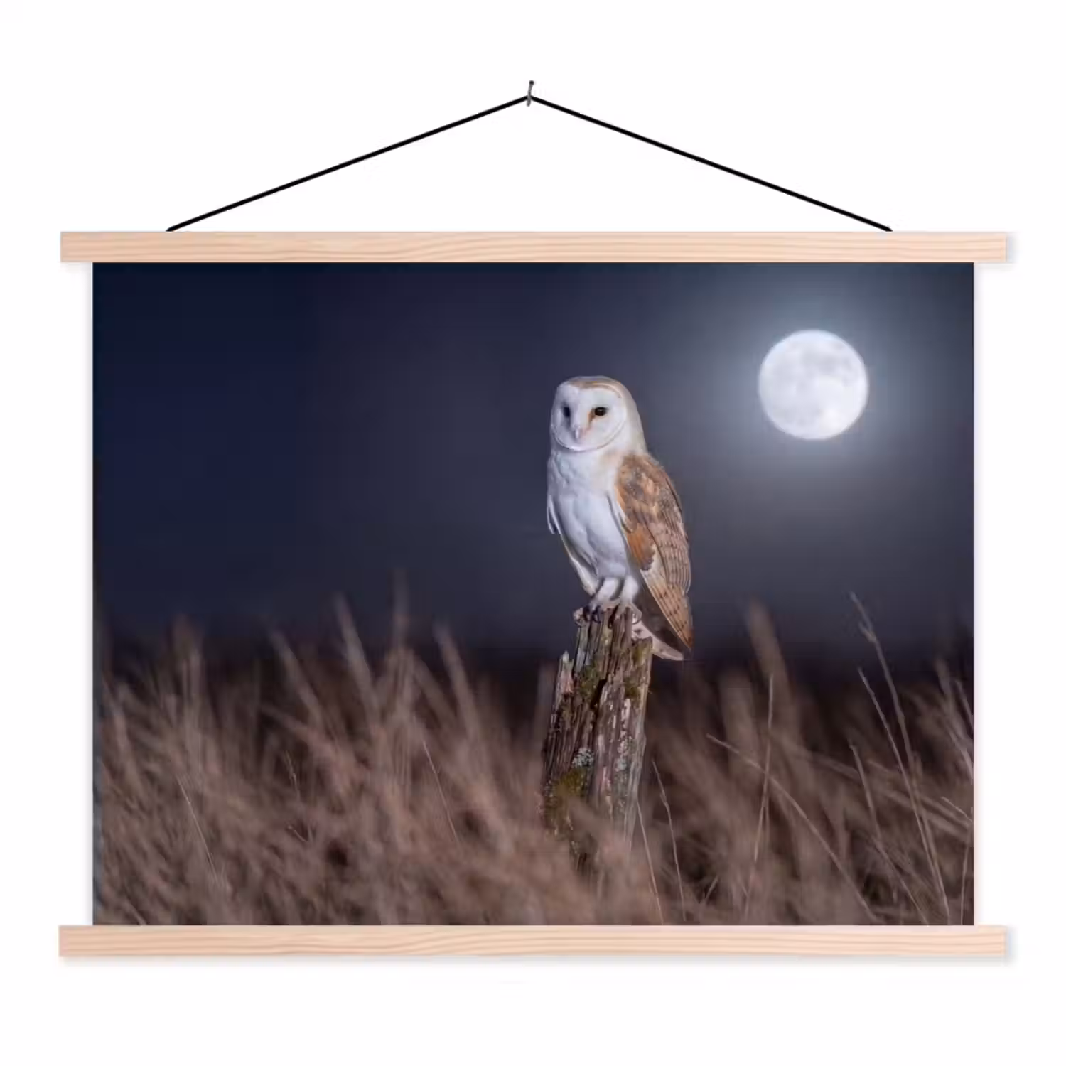 Kerkuil - Maan - Nacht textielposter latten blank klein -3d