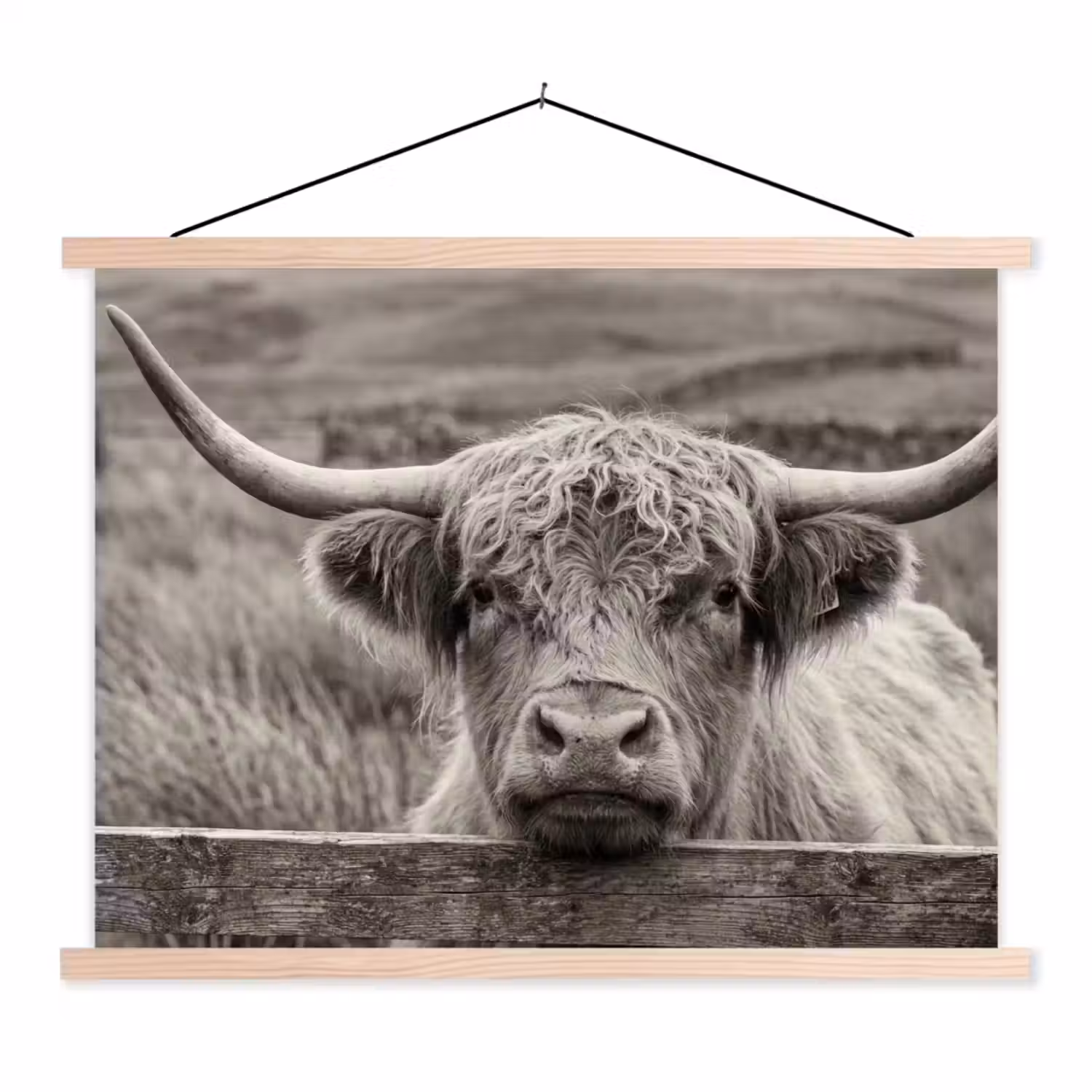 Schotse hooglander - Zwart - Wit - Hout textielposter latten blank klein -3d