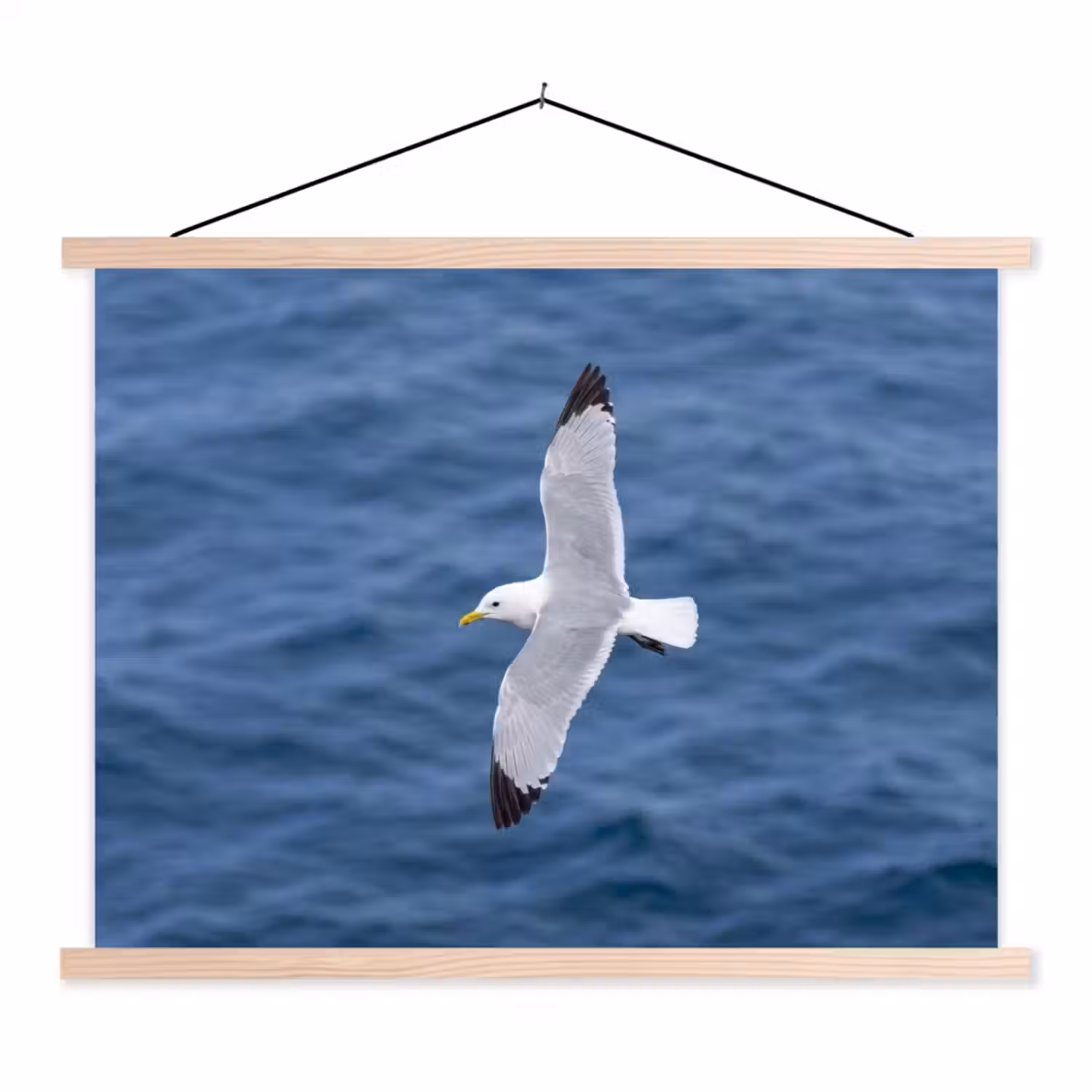 Zeemeeuw - Oceaan - Blauw textielposter latten blank klein -3d