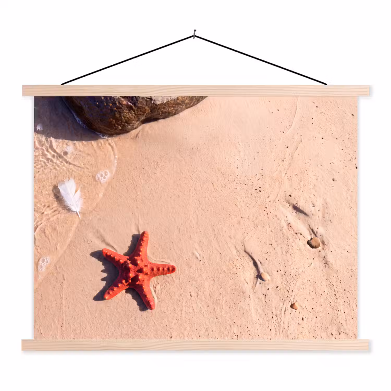 Dieren - Strand - Zee - Natuur - Rood textielposter latten blank klein -3d