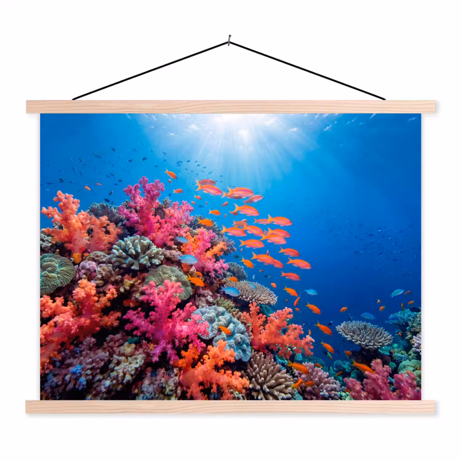 Onderwater - Koraalrif - Vissen - Oceaan - Natuur textielposter latten blank klein -3d