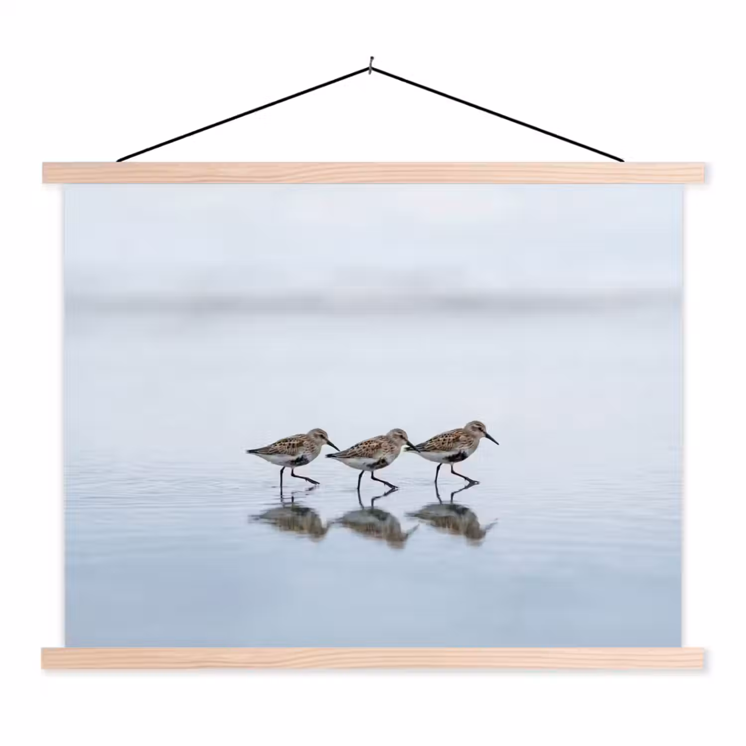 Vogels - Water - Grijs textielposter latten blank klein -3d