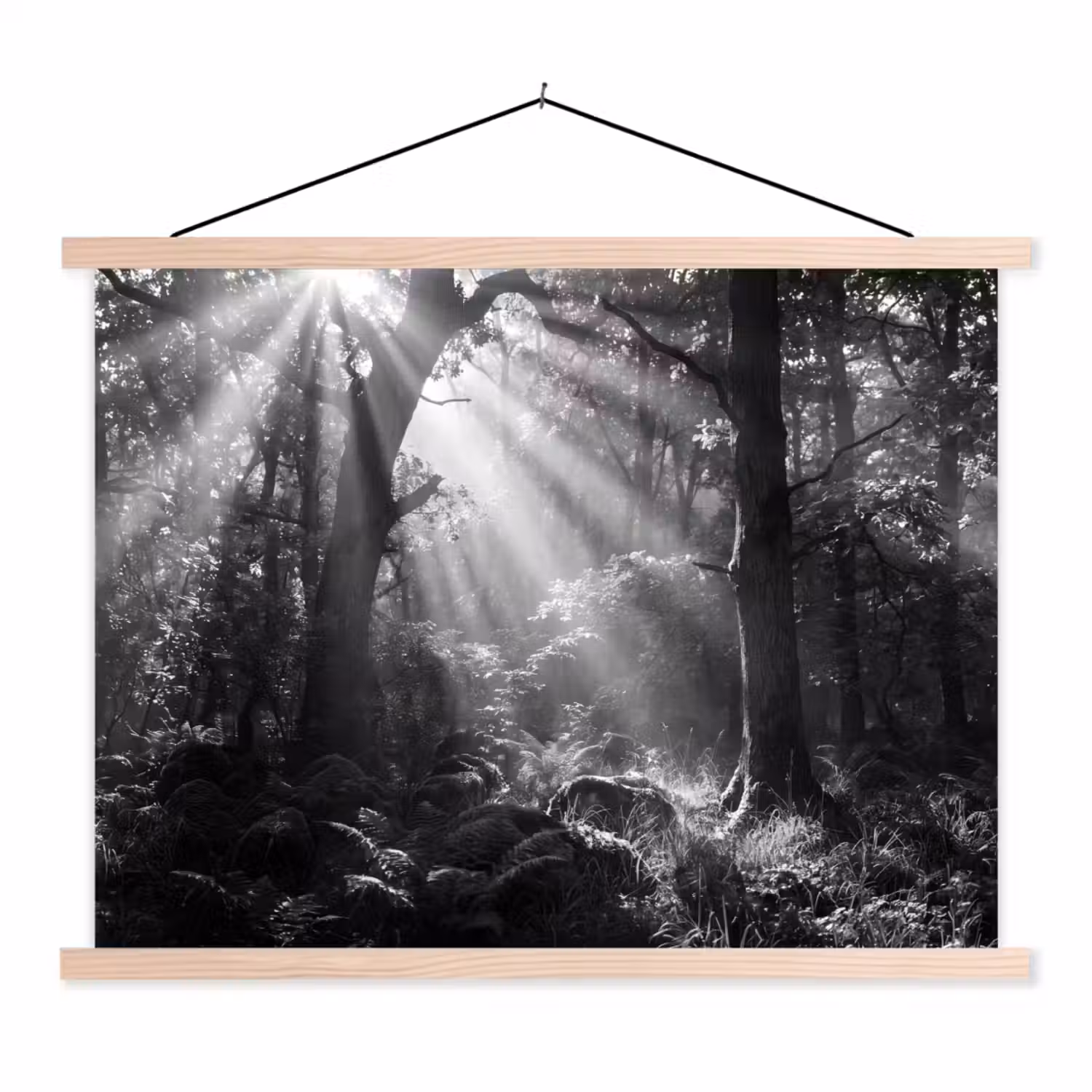 Bos - Lichtstralen - Natuur - Zwart-wit textielposter latten blank klein -3d