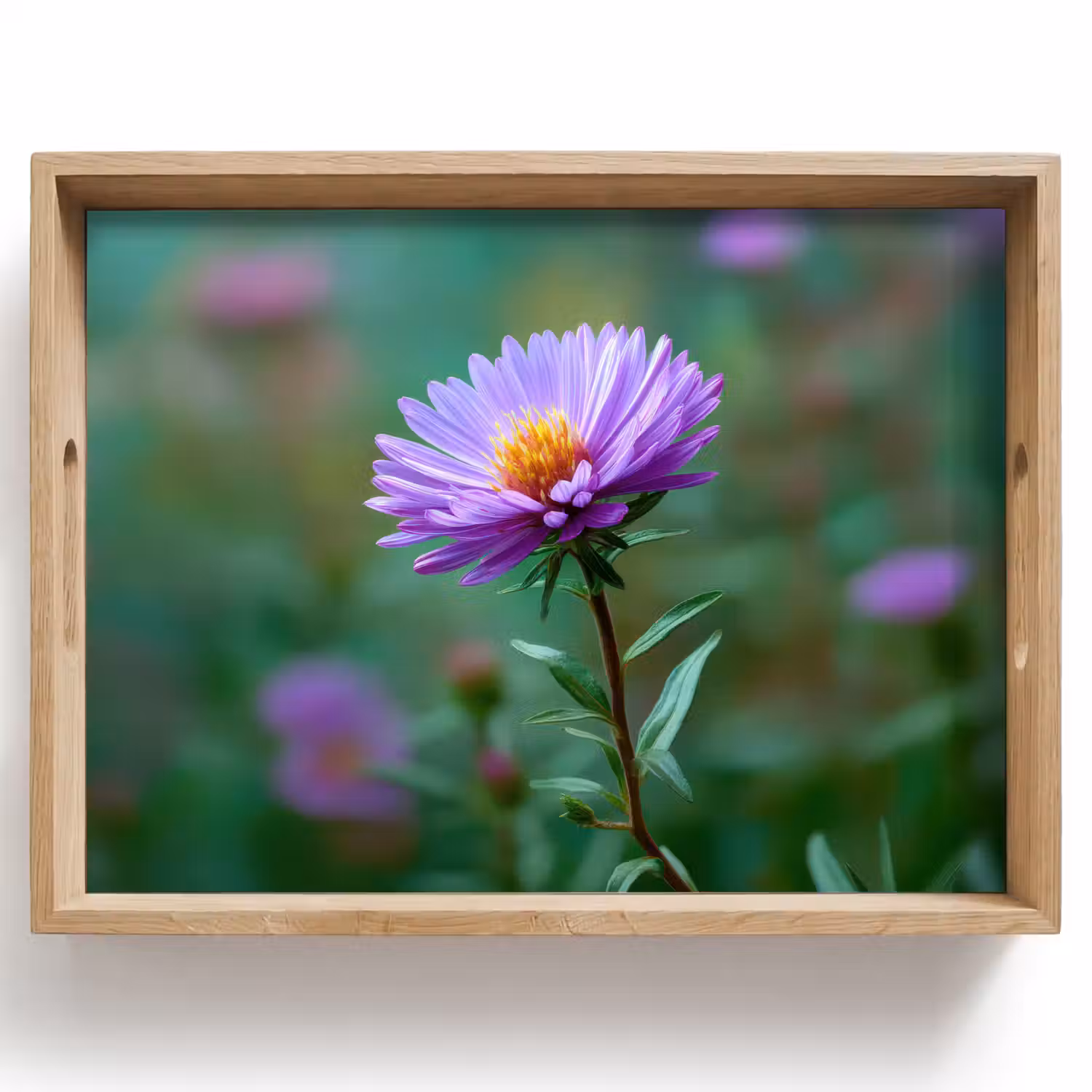 Aster - Paars - Bloem - Blaadjes Dienblad Rechthoek middel -z3d_shopping